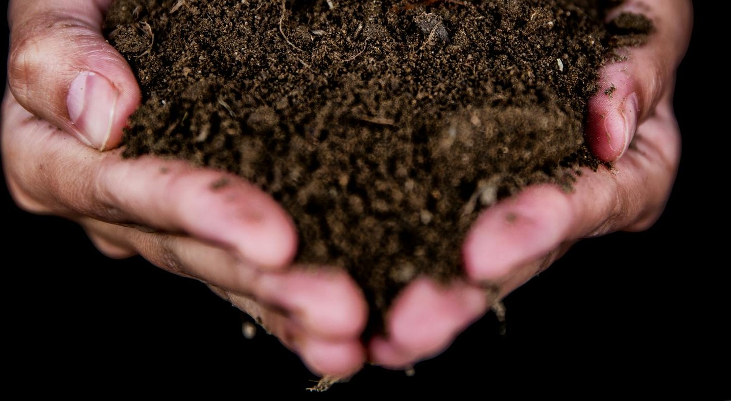 Une personne tenant de la terre | Source : Pexels