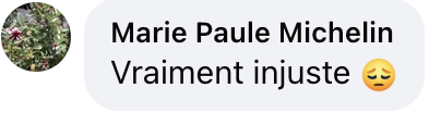 Commentaire d'un internaute | Source : Facebook/Le Parisien