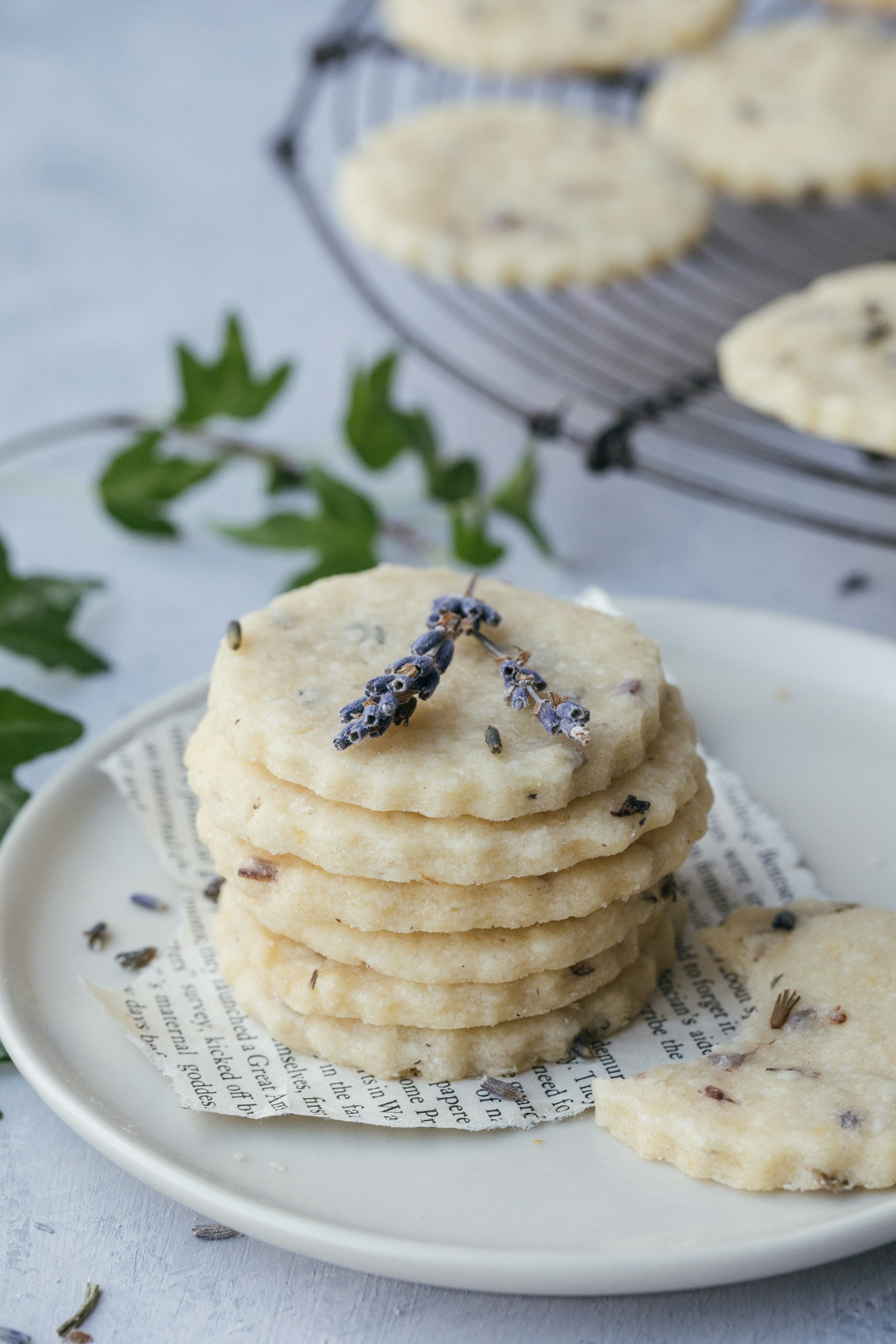 Biscuits sablés sur une assiette | Source : Unsplash