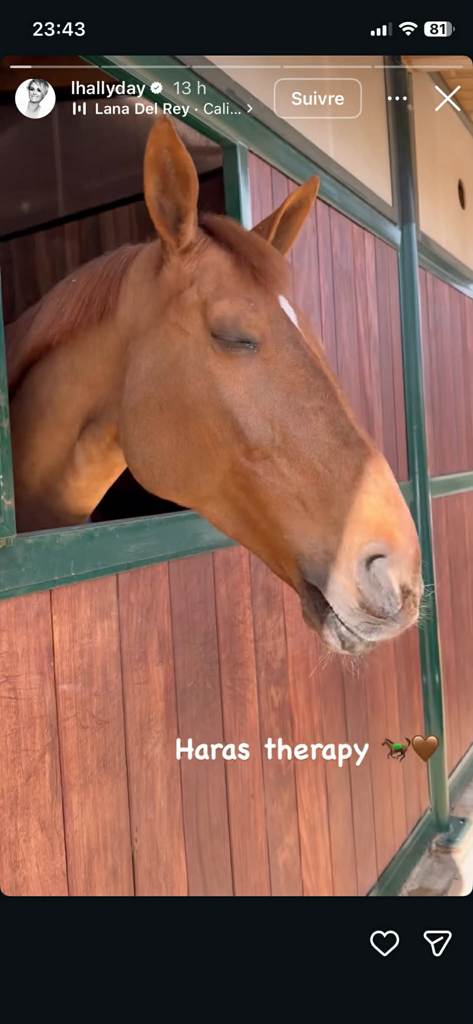 Capture d'écran I Source : https://www.instagram.com/lhallyday/?hl=fr