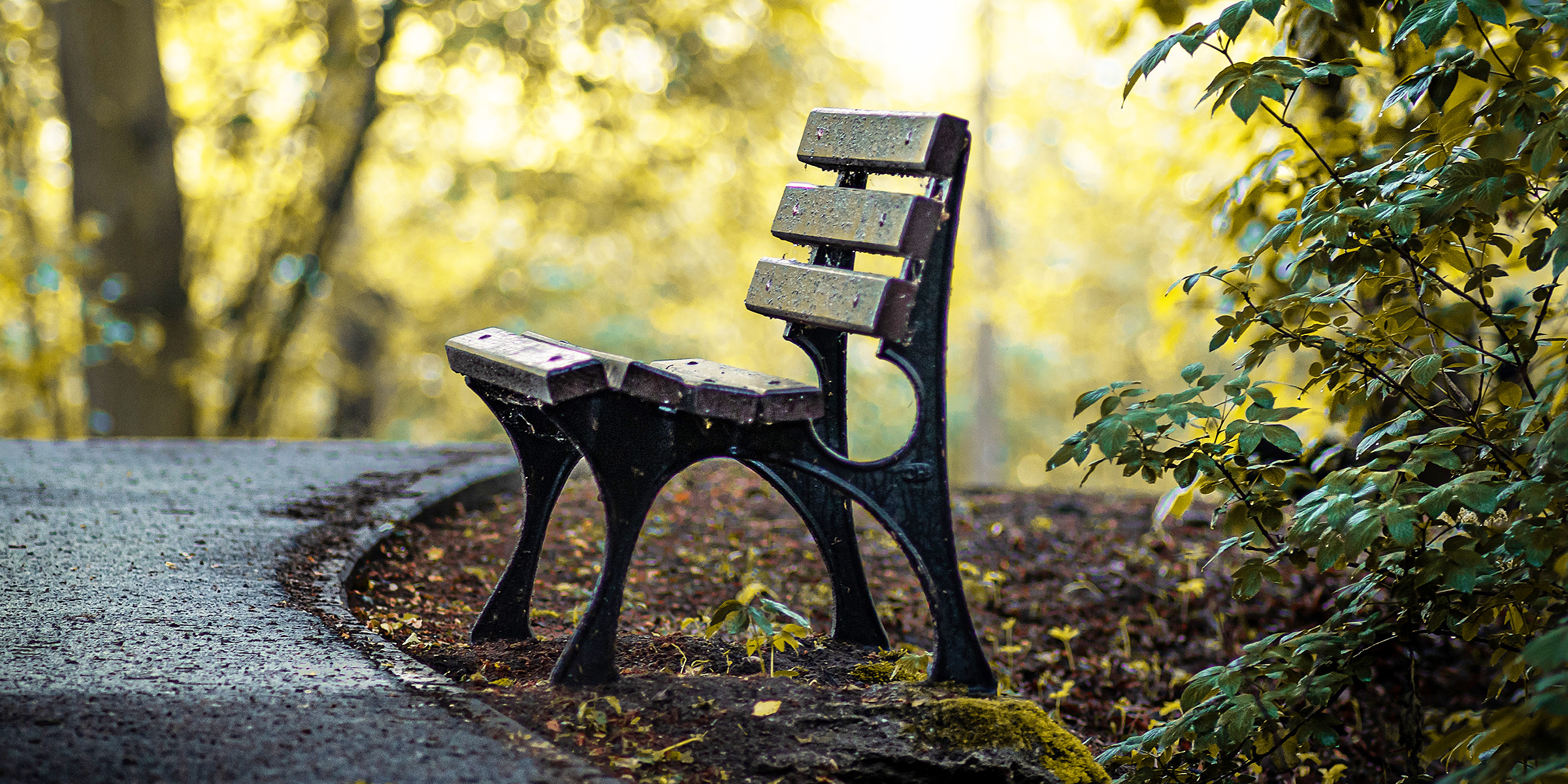 Un banc vide | Source : Freepik