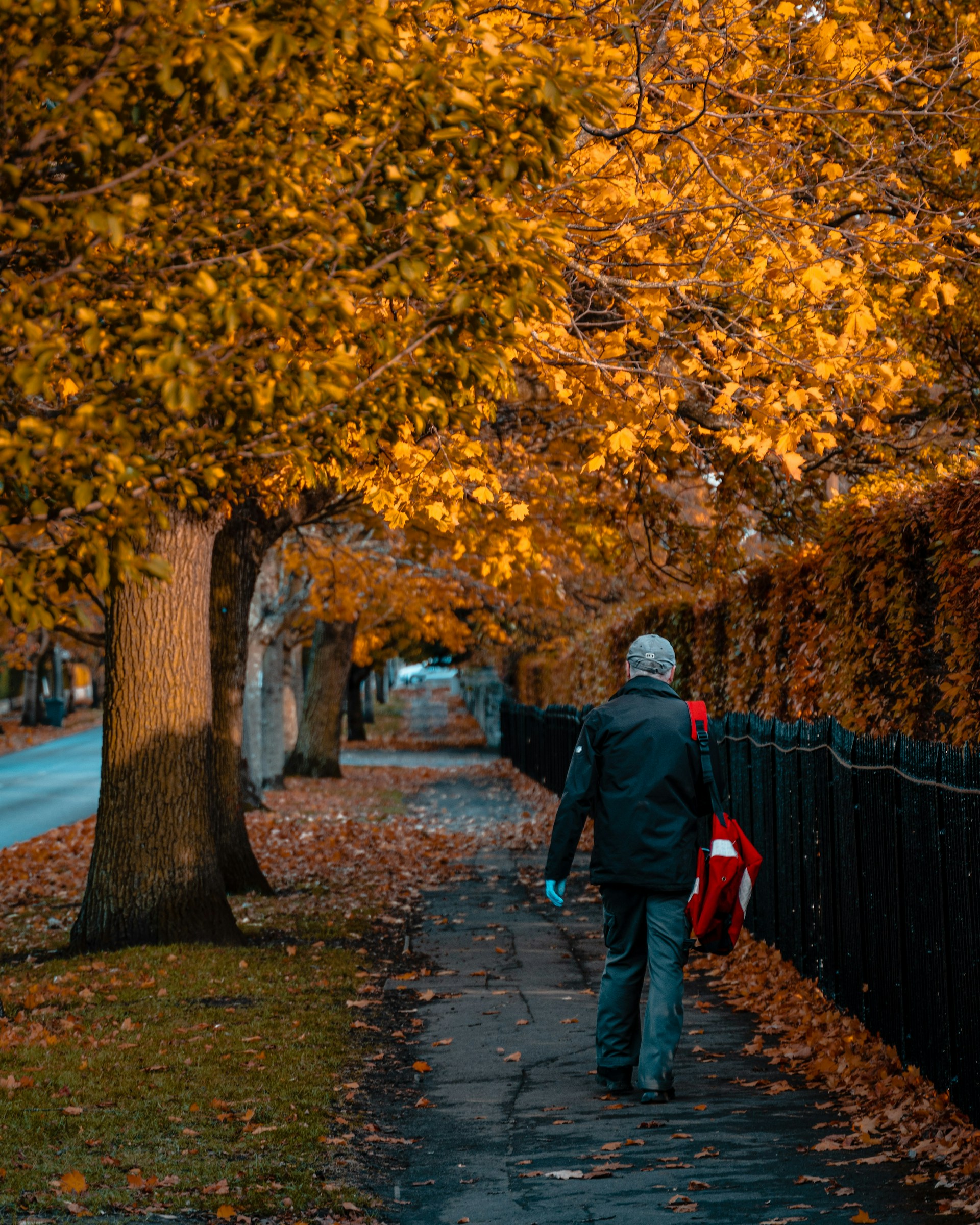Un homme marchant sur un chemin bordé d'arbres | Source : Unsplash