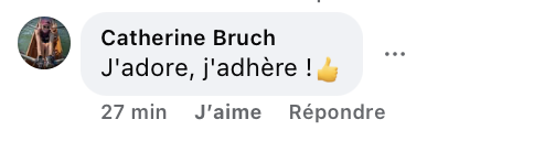 Capture d'écran du commentaire d'un internaute I Source : https://www.facebook.com/reel/1417226043531958