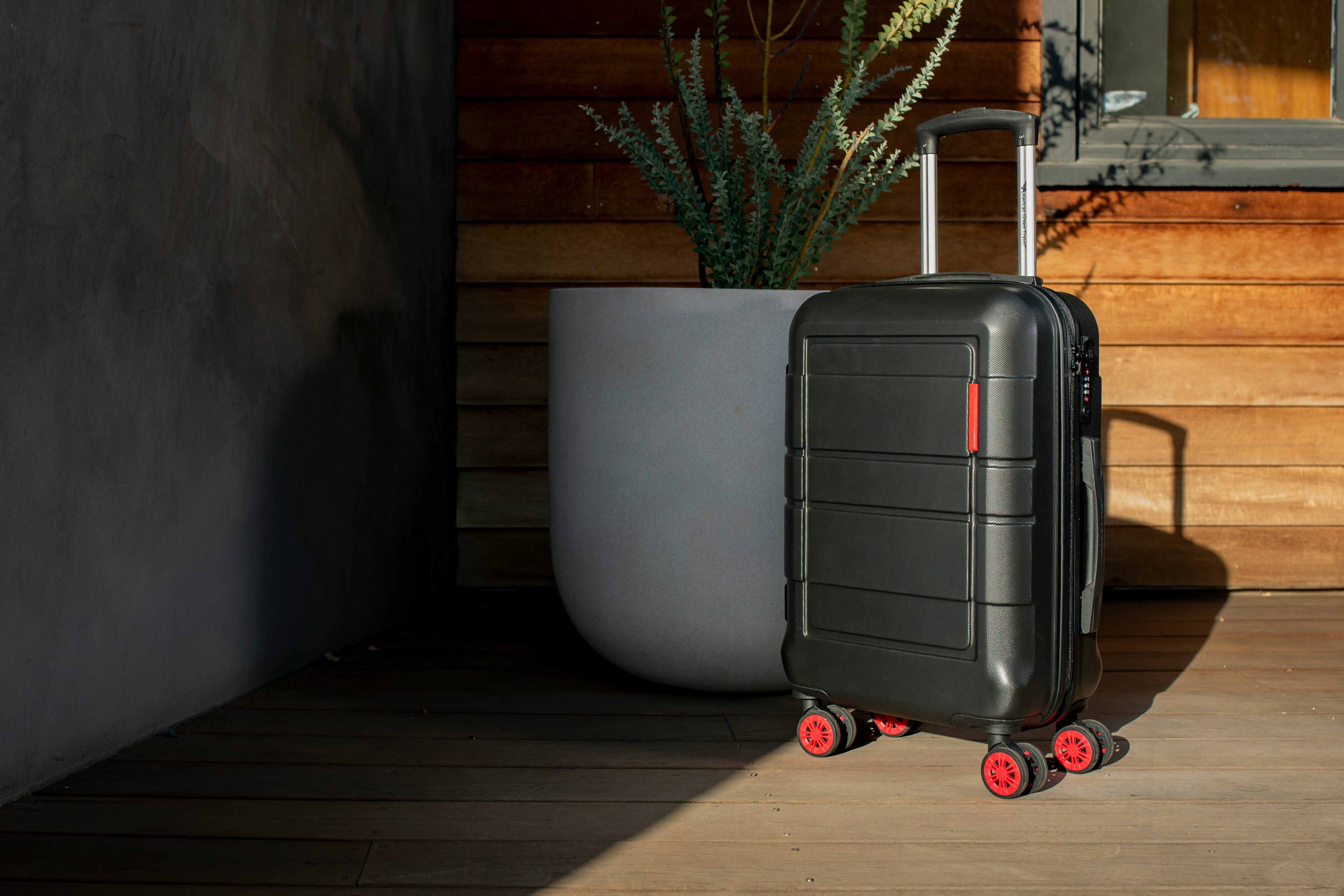 Une valise à côté d'une parcelle en pot | Source : Unsplash