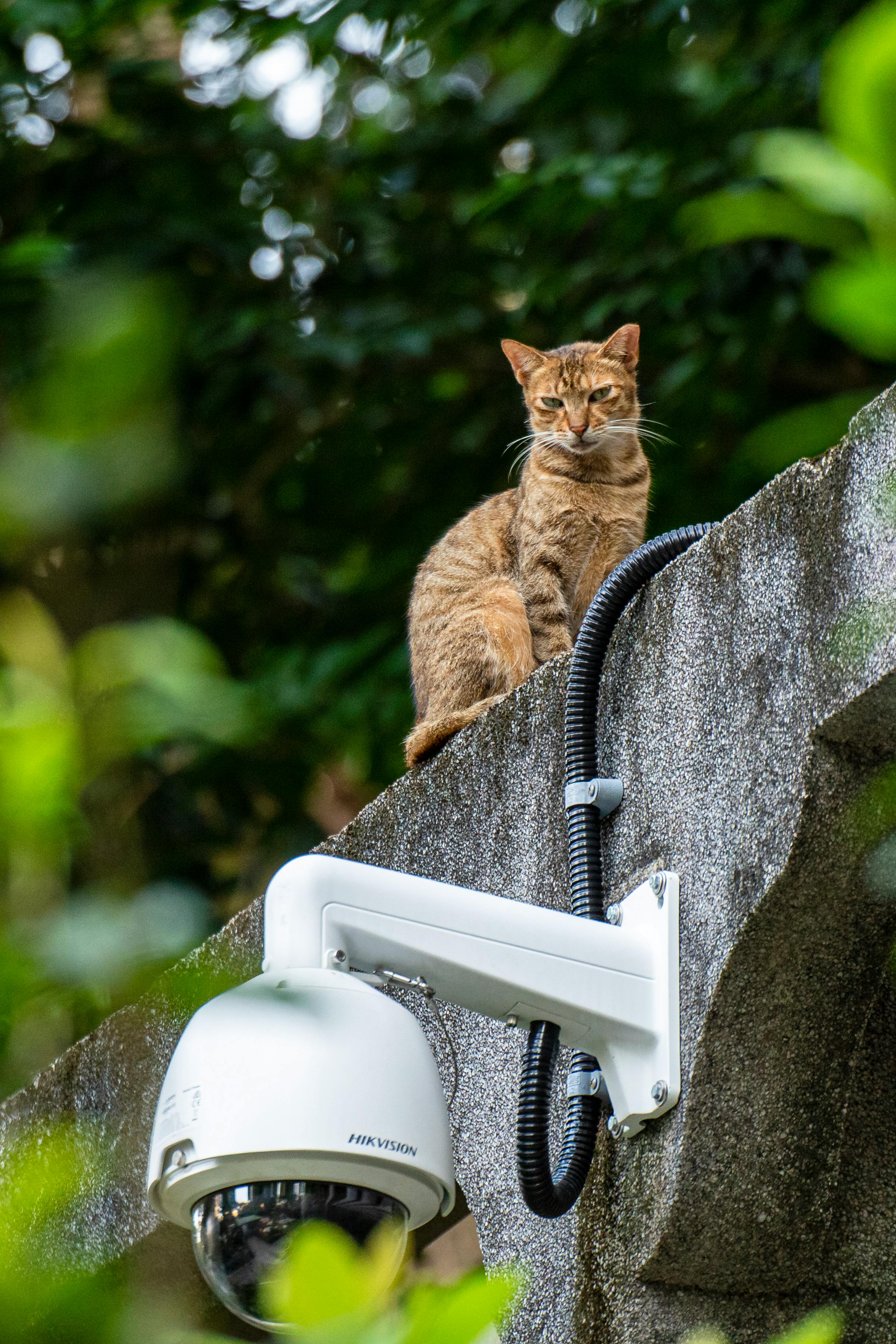 Une caméra de sécurité fixée à une poutre en béton | Source : Pexels