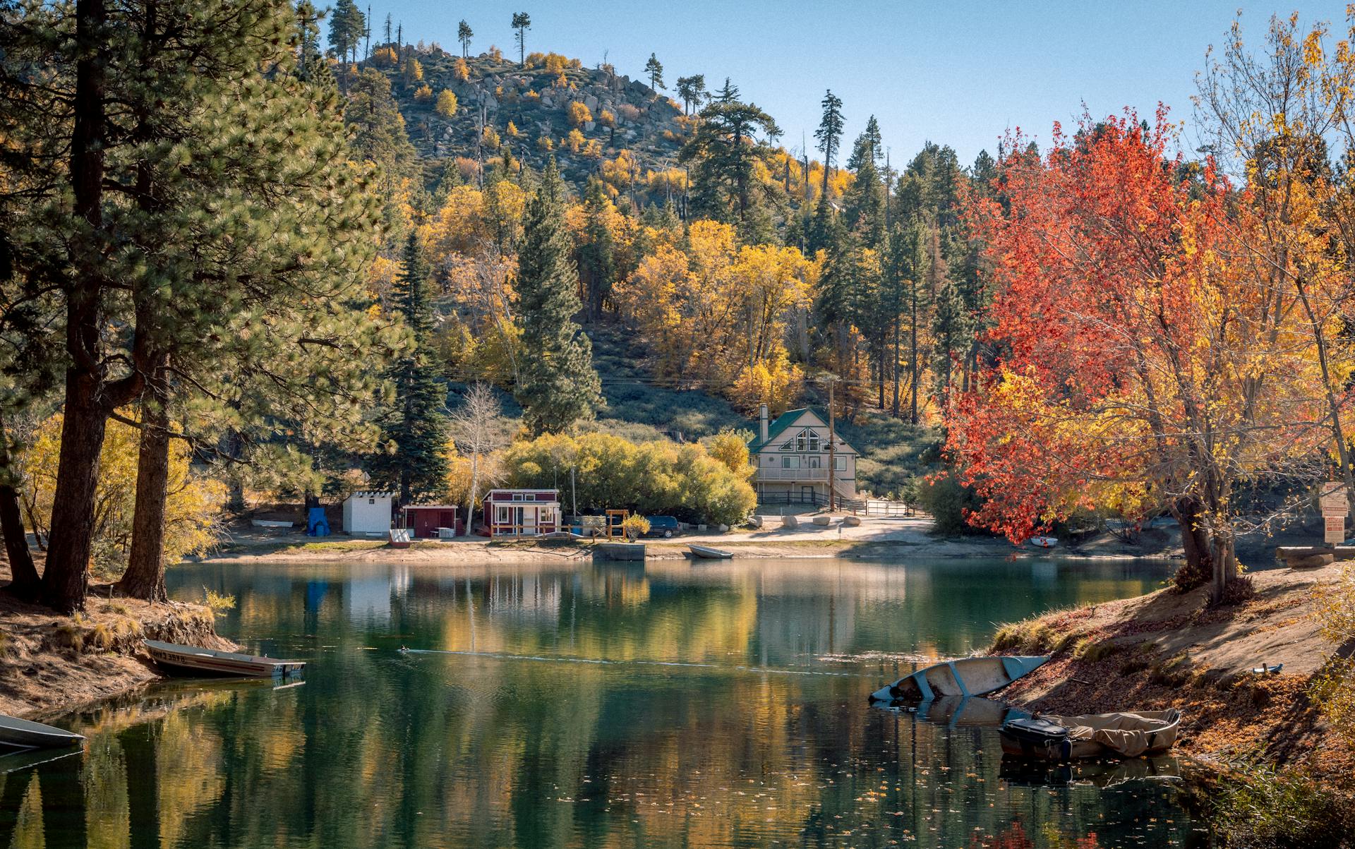 Une cabane au bord d'un lac | Source : Pexels