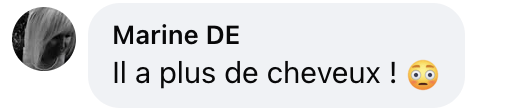 Commentaire d'une internaute sur la ressemblance entre Emmanuel et Laurent Macron  | Source : Facebook/Le Figaro