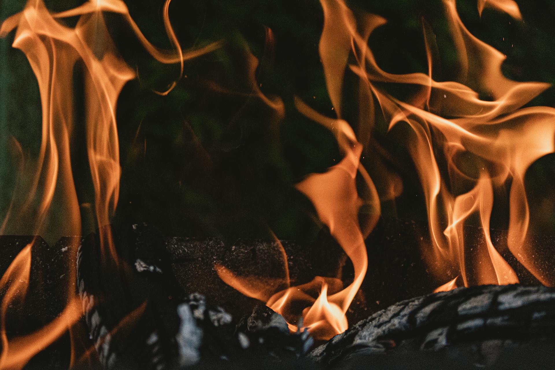 Gros plan sur le feu | Source : Pexels