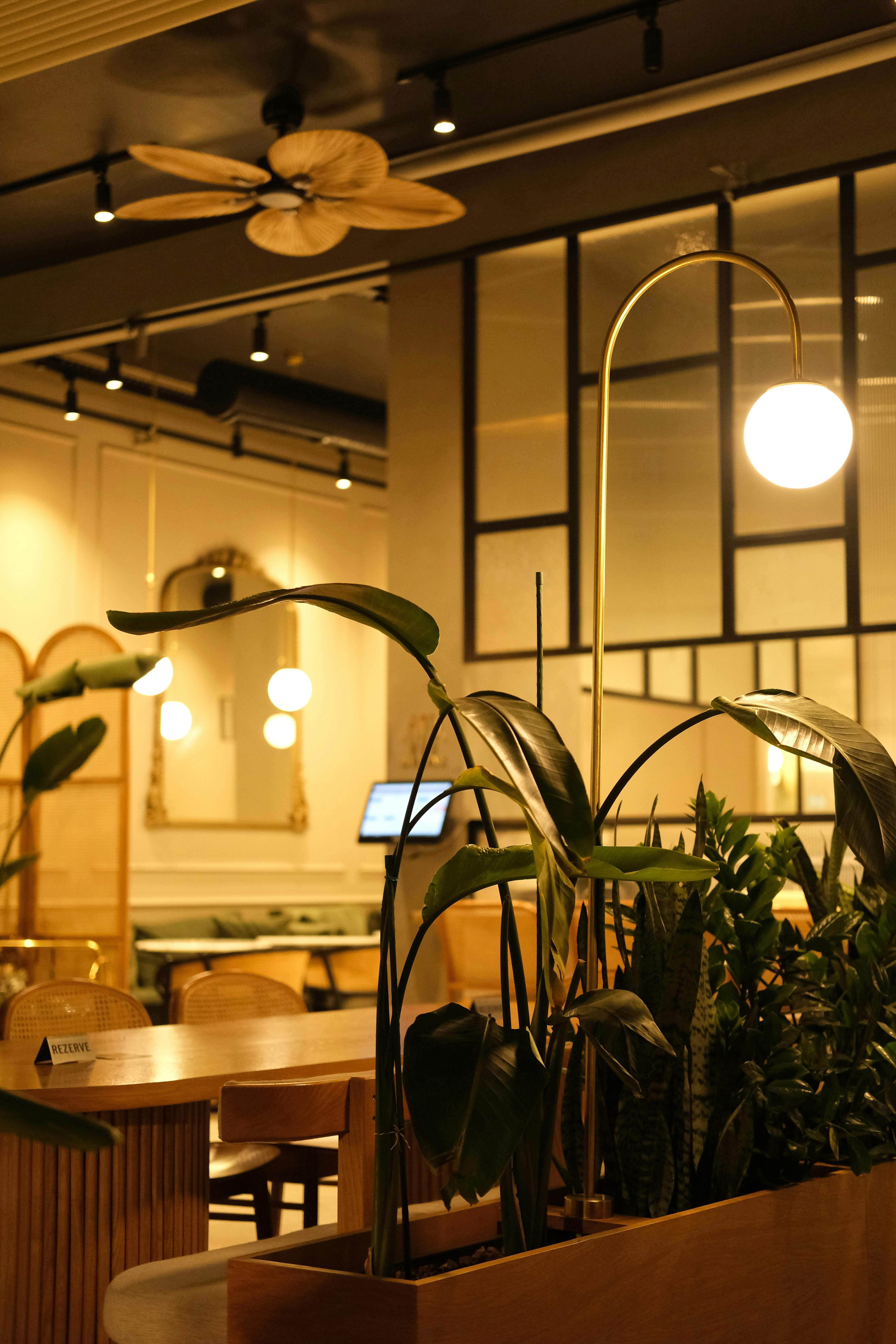 L'intérieur d'un restaurant | Source : Pexels
