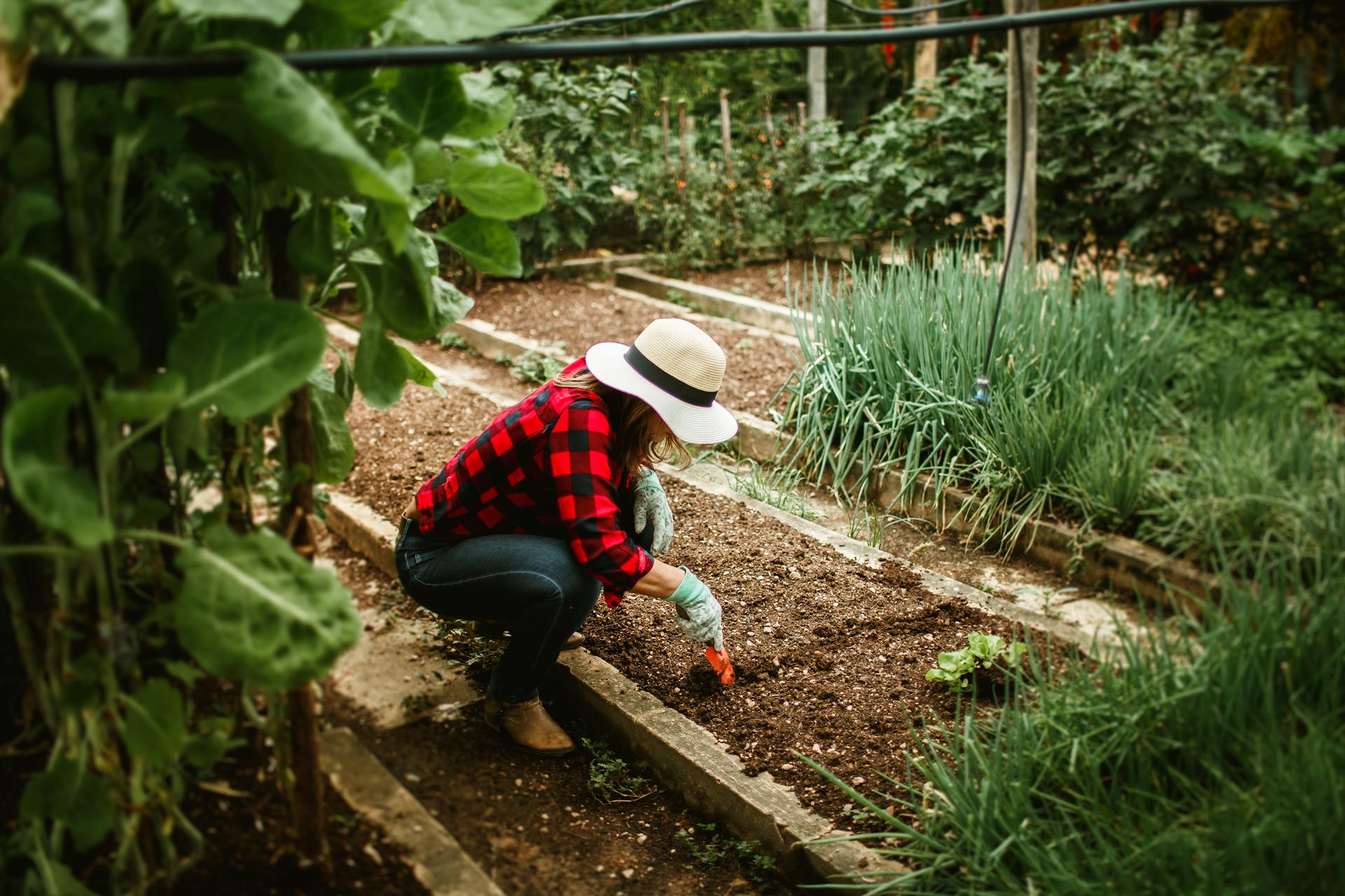 Une femme travaillant dans le jardin | Source : Pexels