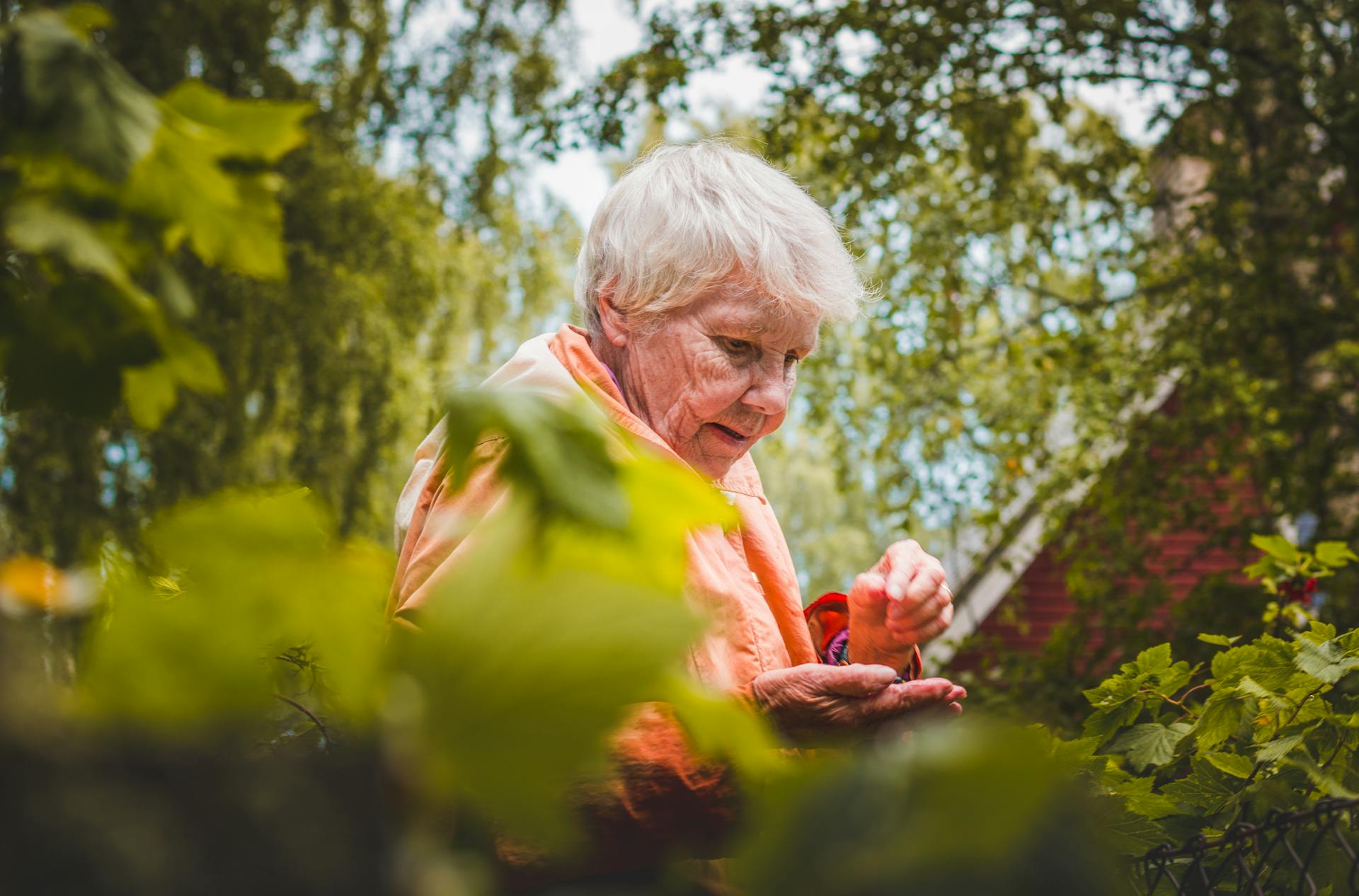 Une grand-mère près des plantes | Source : Pexels