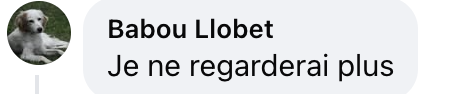 Commentaire d'un internaute | Source : Facebook/Le Parisien