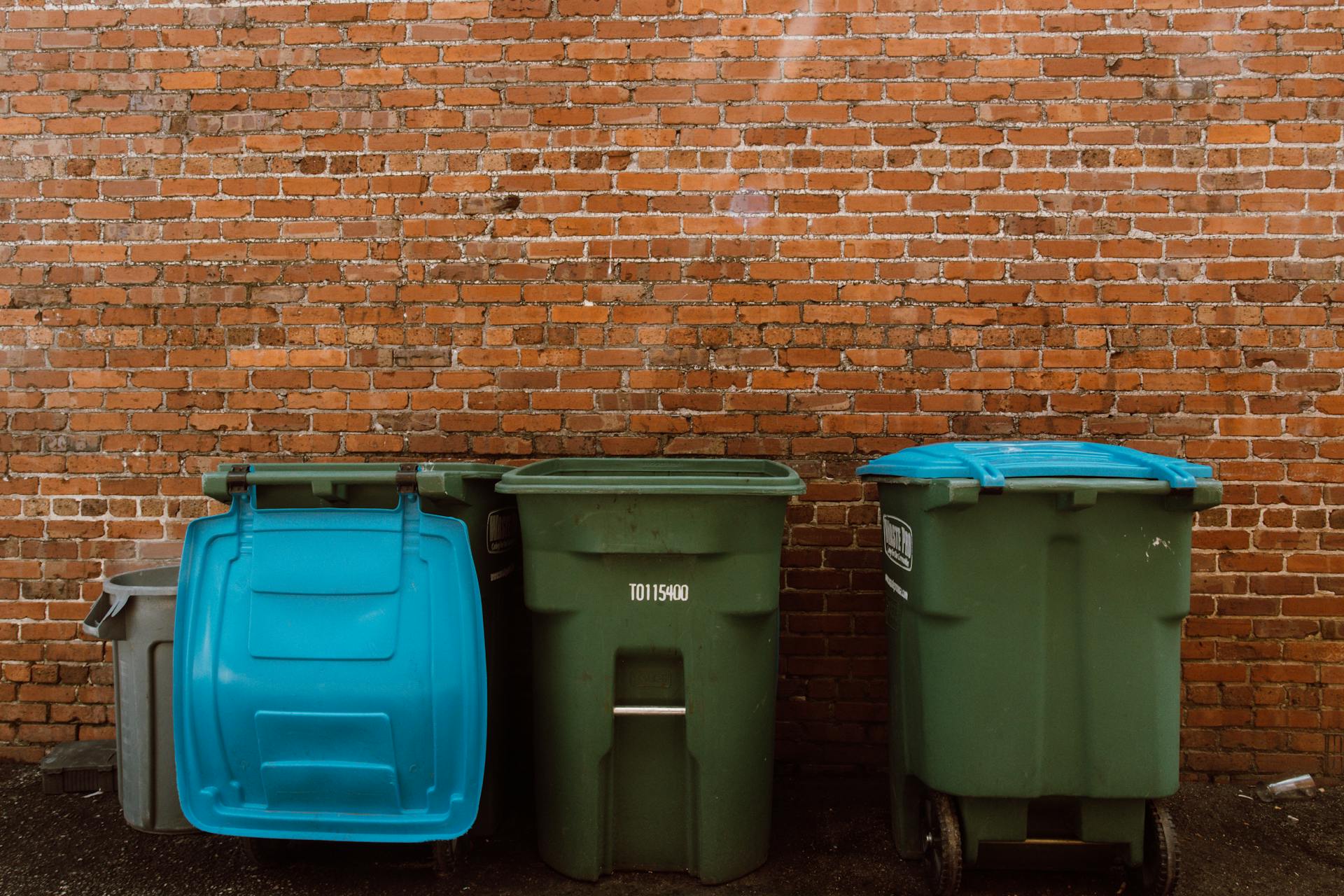 Des poubelles devant un mur | Source : Pexels