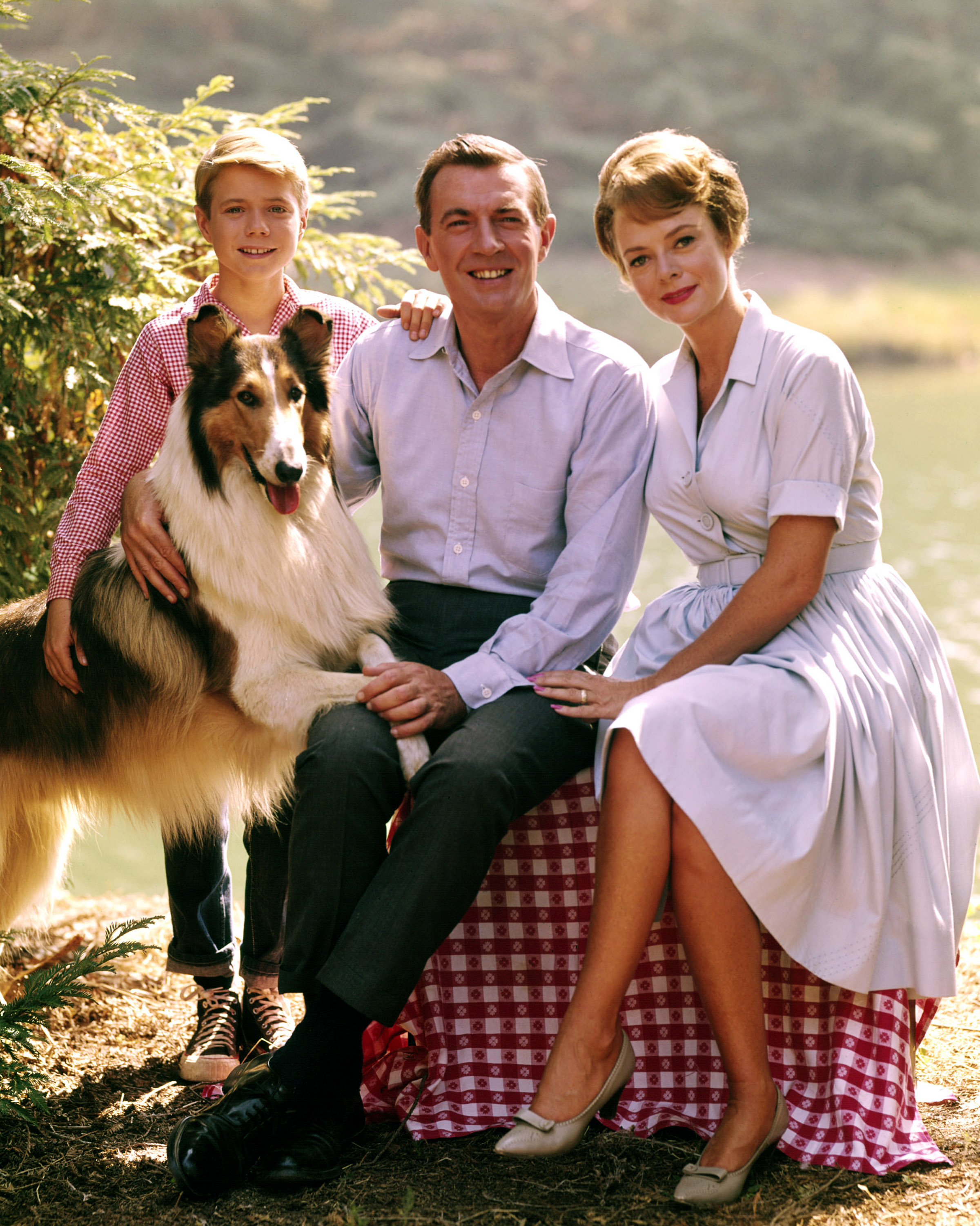 Lassie pose avec Jon Provost, June Lockhart et Hugh Reilly (1915-1998) pour une photo de groupe publiée à des fins publicitaires pour la série télévisée américaine « Lassie », vers 1955. | Source : Getty Images