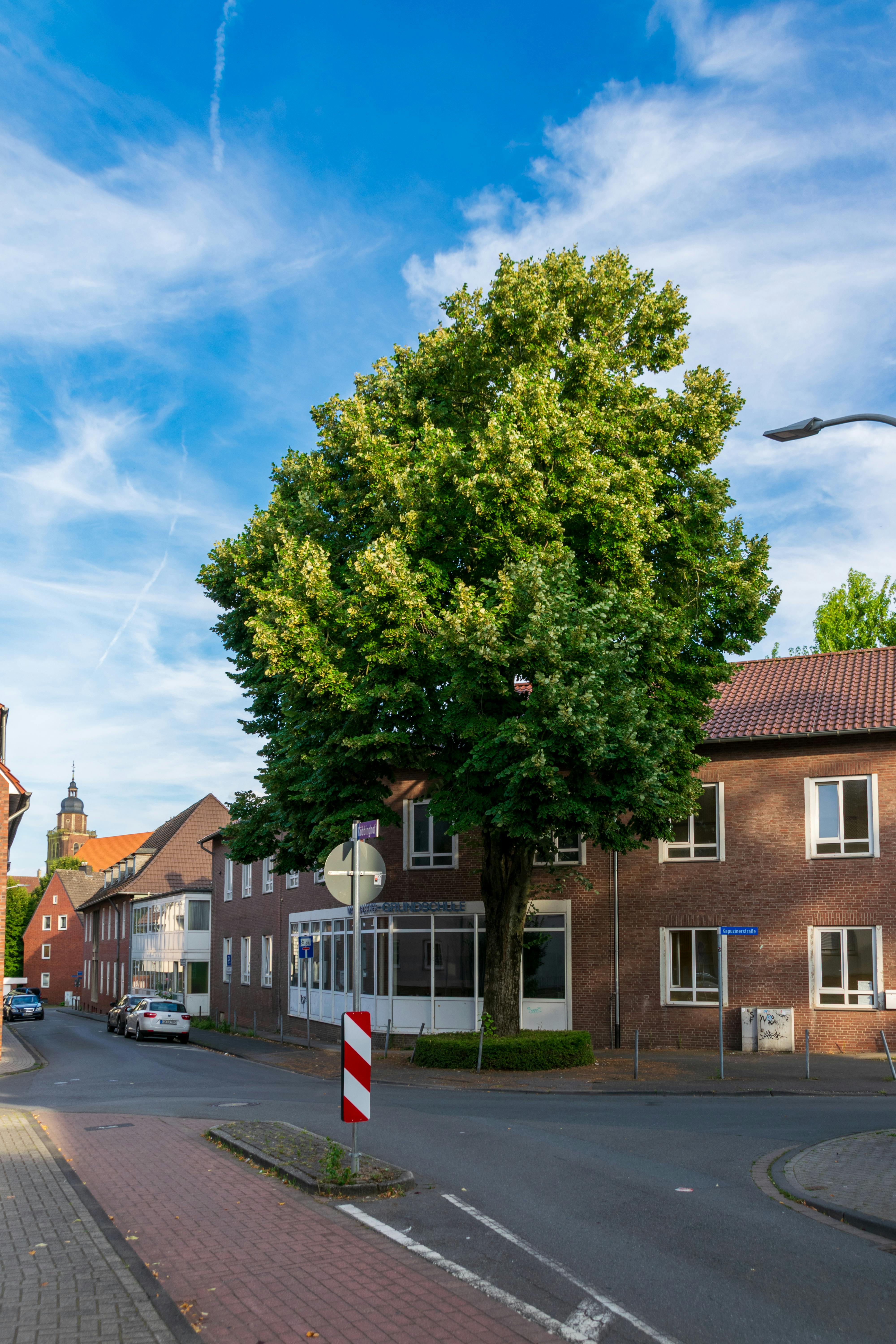 Un quartier agréable et tranquille | Source : Pexels