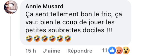 Capture d'écran du commentaire d'un internaute I Source : https://www.facebook.com/photo?fbid=1320863623410955&set=a.599051068925551