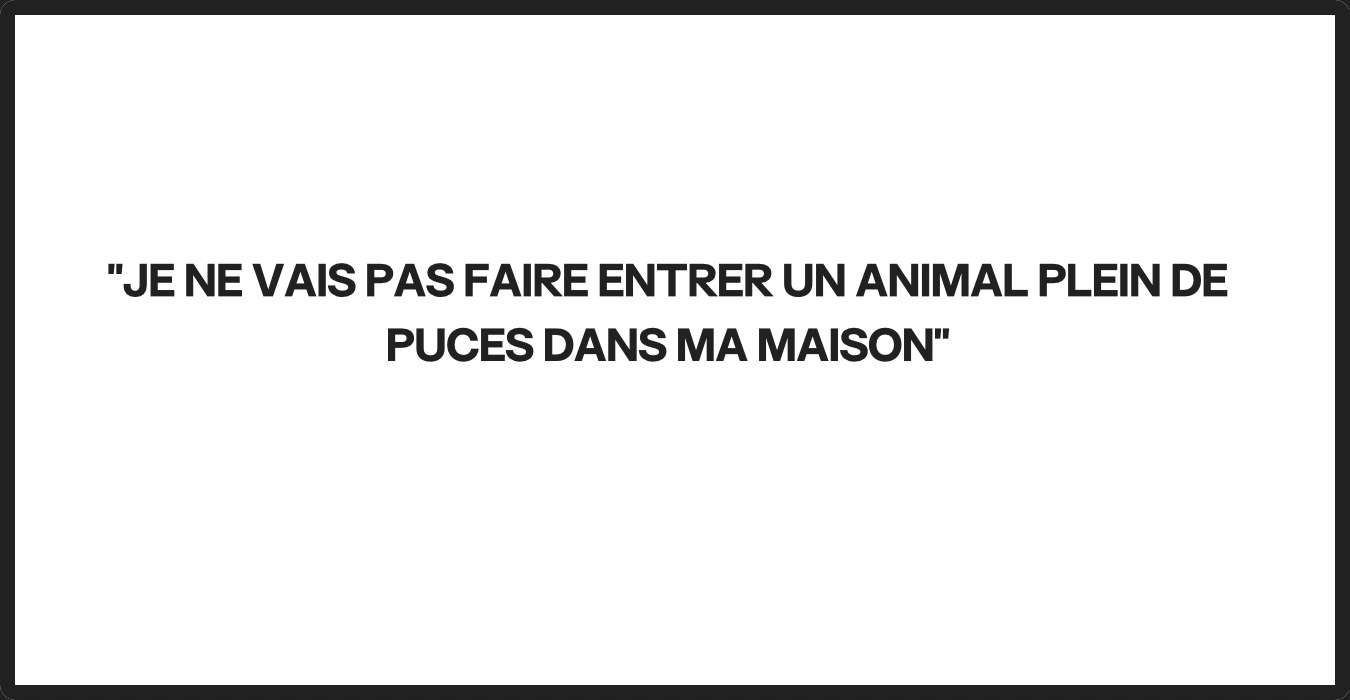 À titre d'illustration uniquement | Source : Ozdomedia