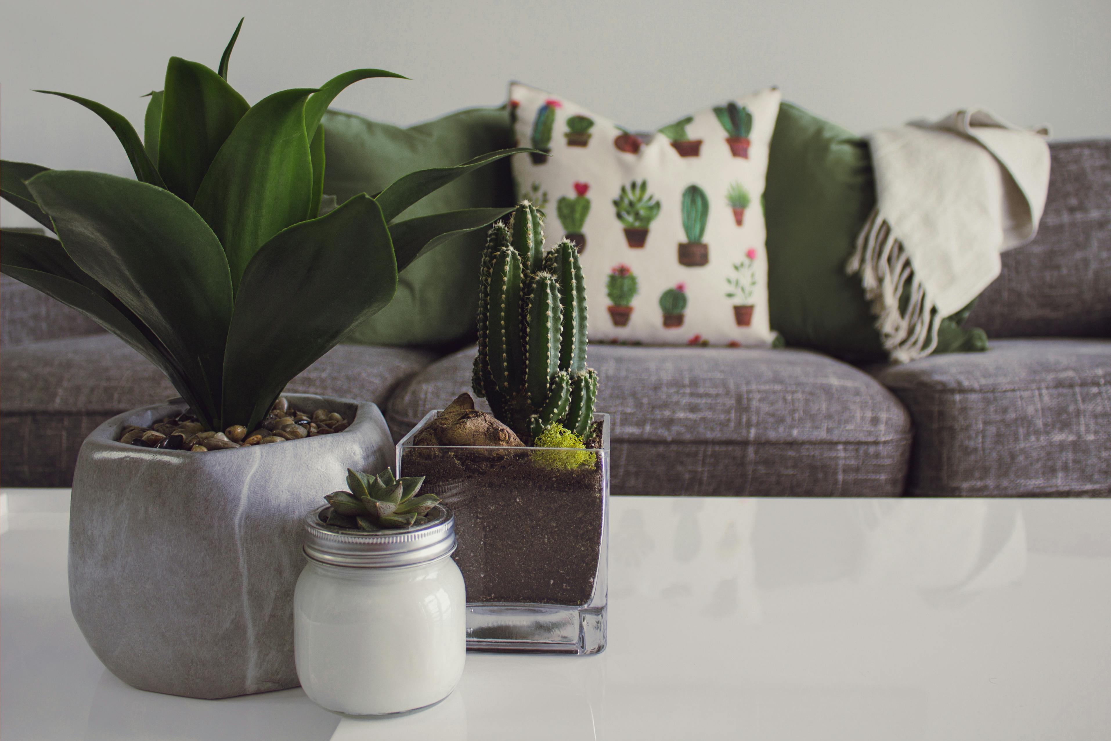 À des fins d'illustration uniquement | Source : Pexels