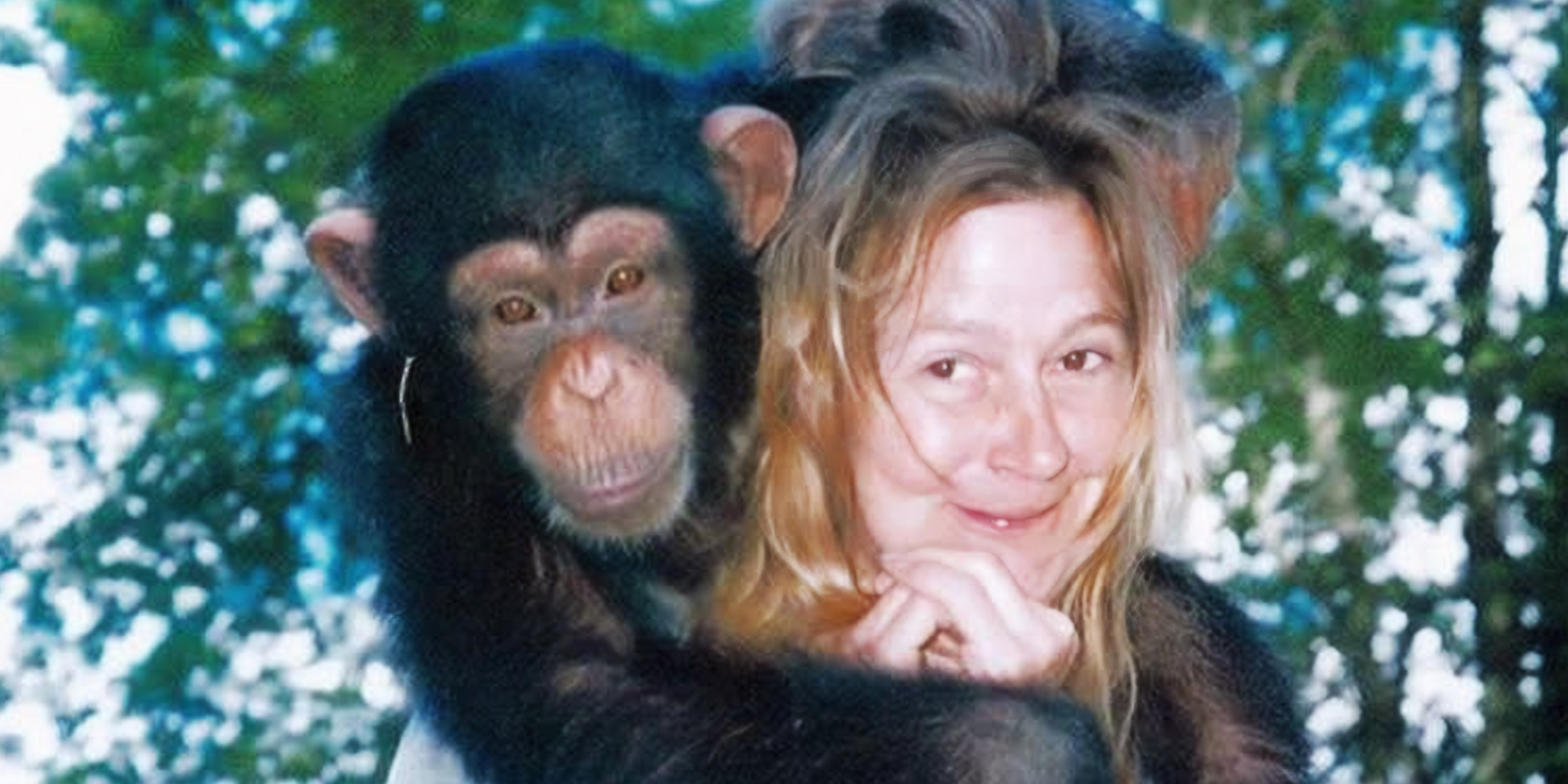 Charla Nash et Travis le chimpanzé | Source : Facebook/Datos Curiosos y Sobrenaturales