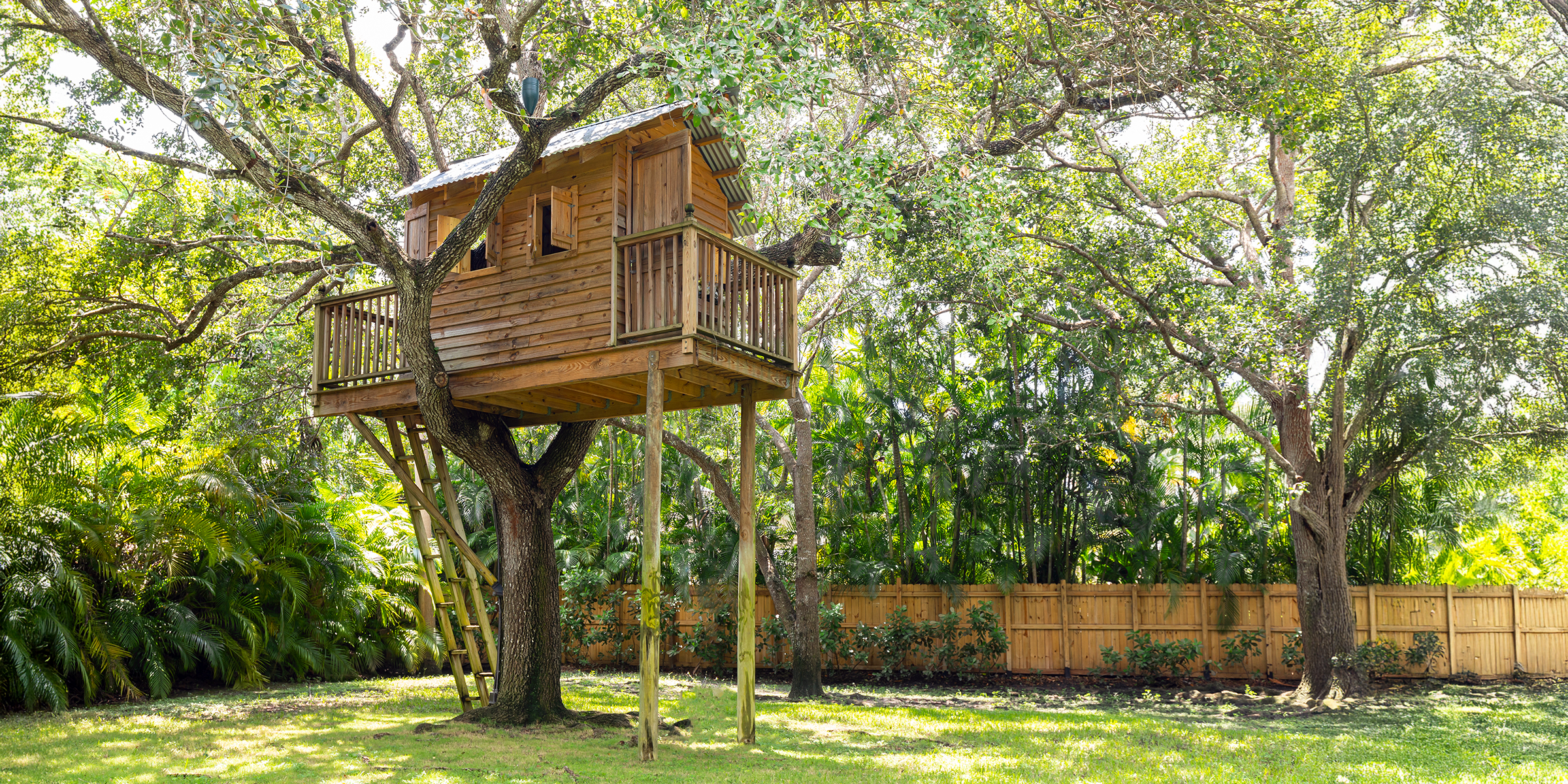 Une cabane dans une arrière-cour | Source : Shutterstock