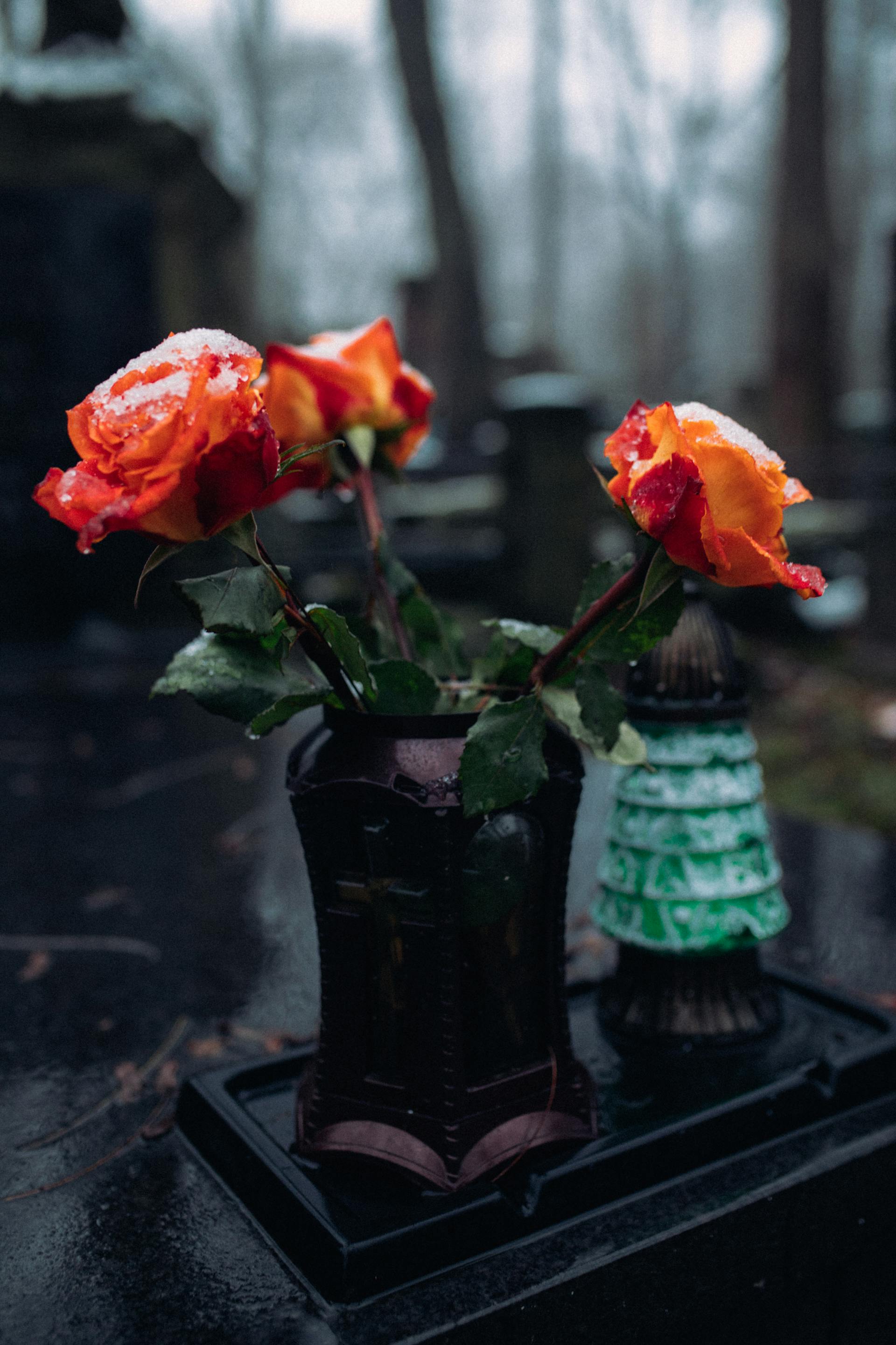 Fleurs sur une tombe | Source : Pexels