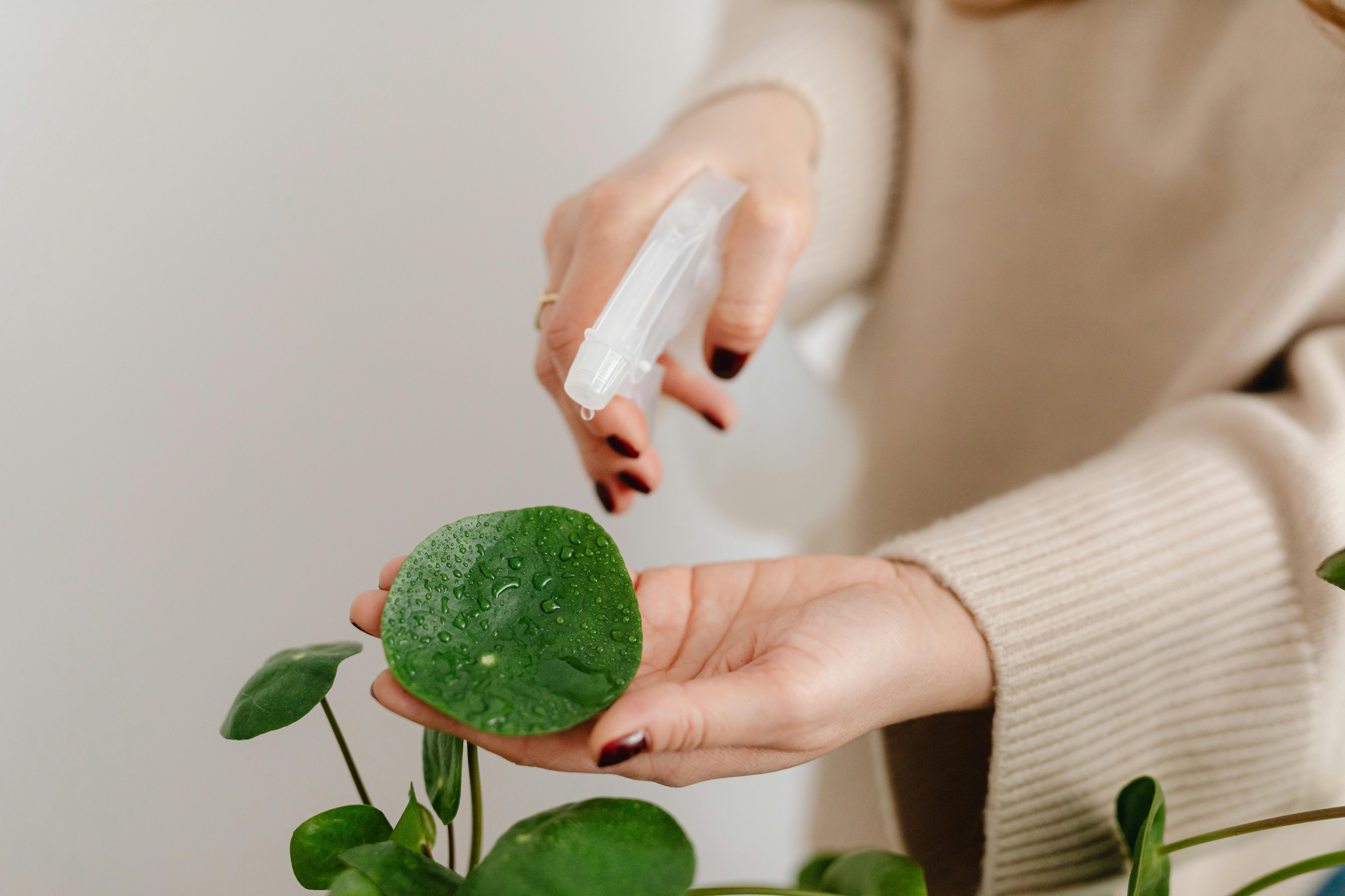 Une femme arrosant des plantes | Source : Pexels