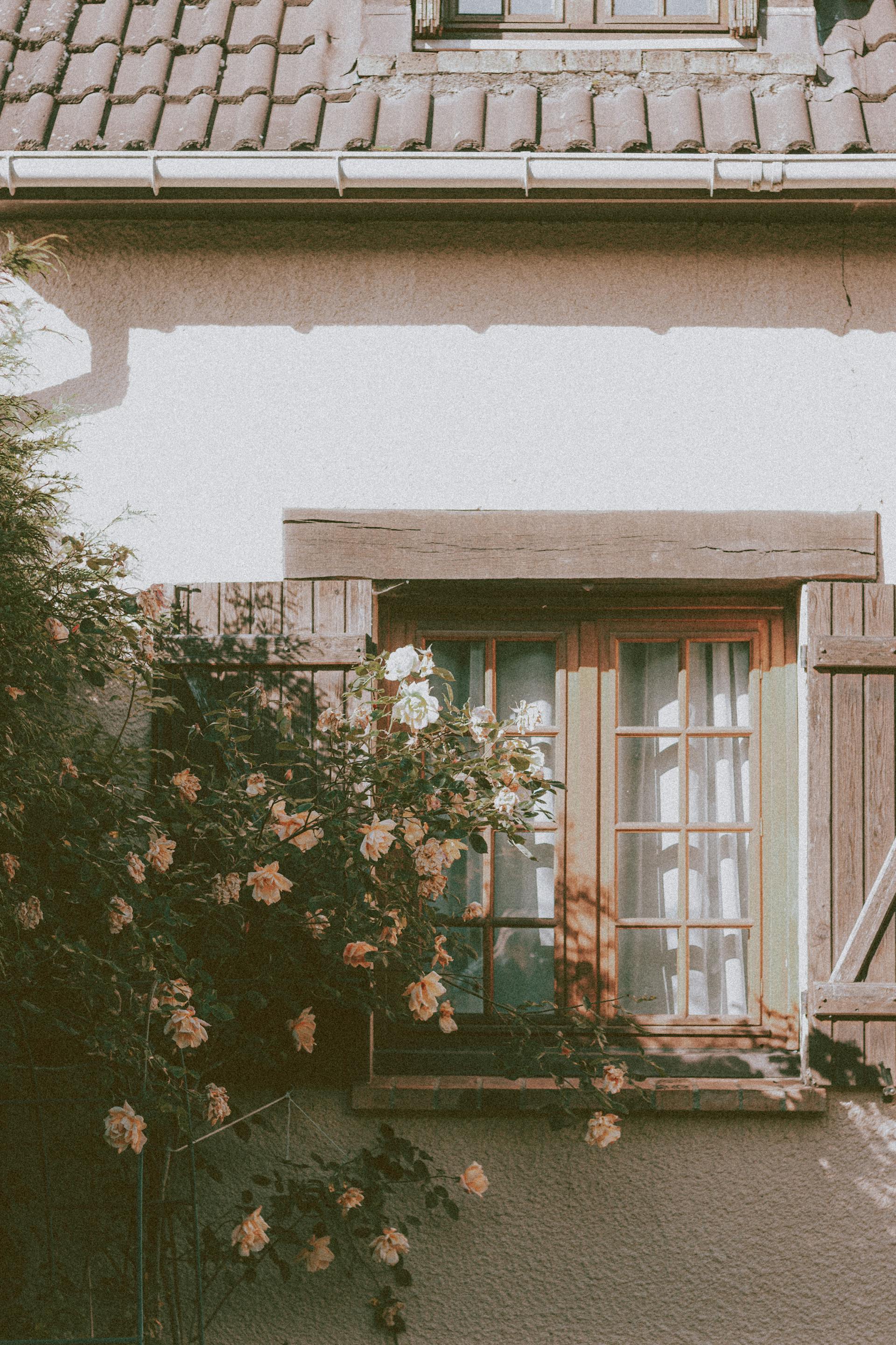 Un buisson fleuri près de la fenêtre d'une maison de campagne | Source : Pexels