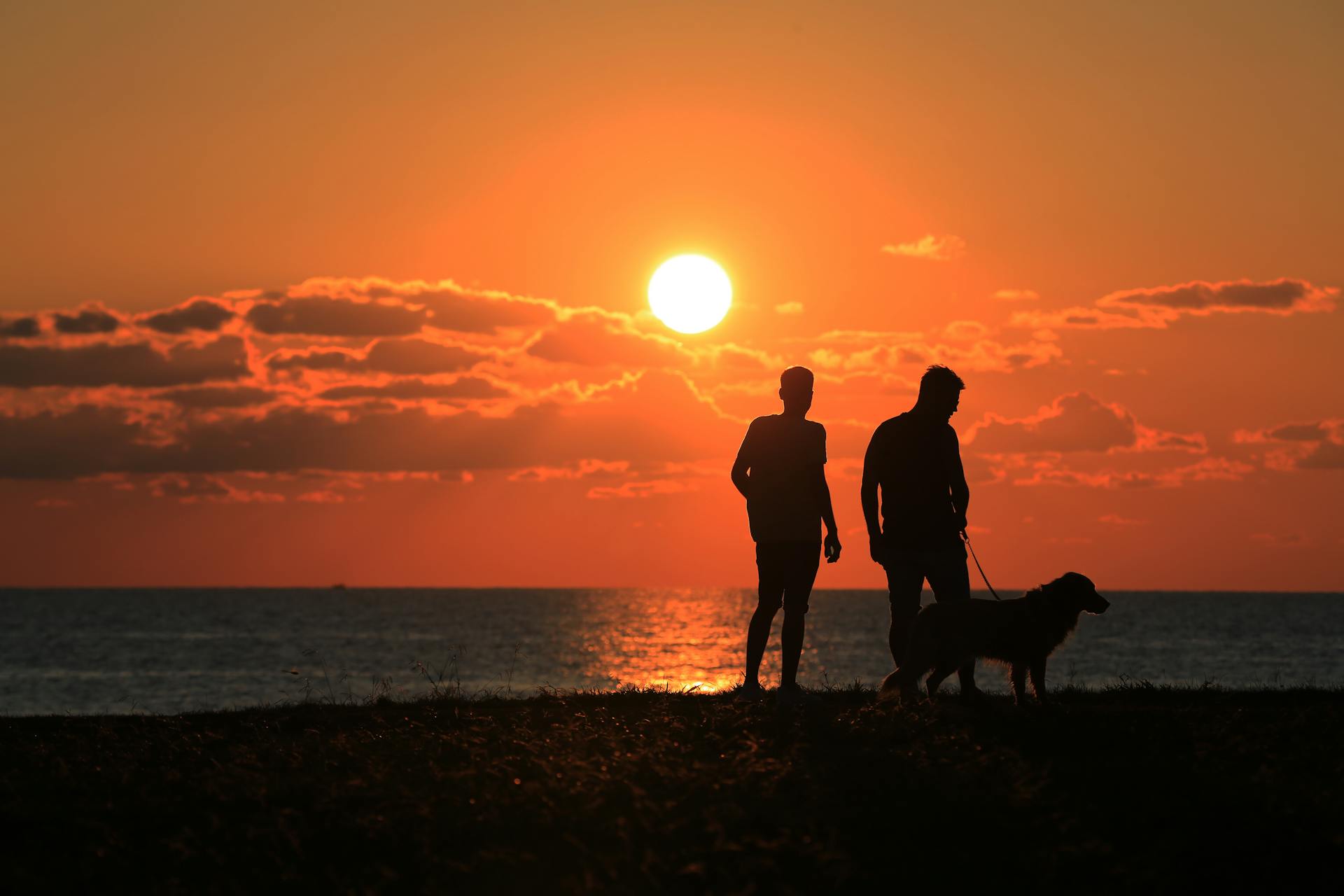Silhouette de deux hommes à la plage avec leur chien | Source : Pexels