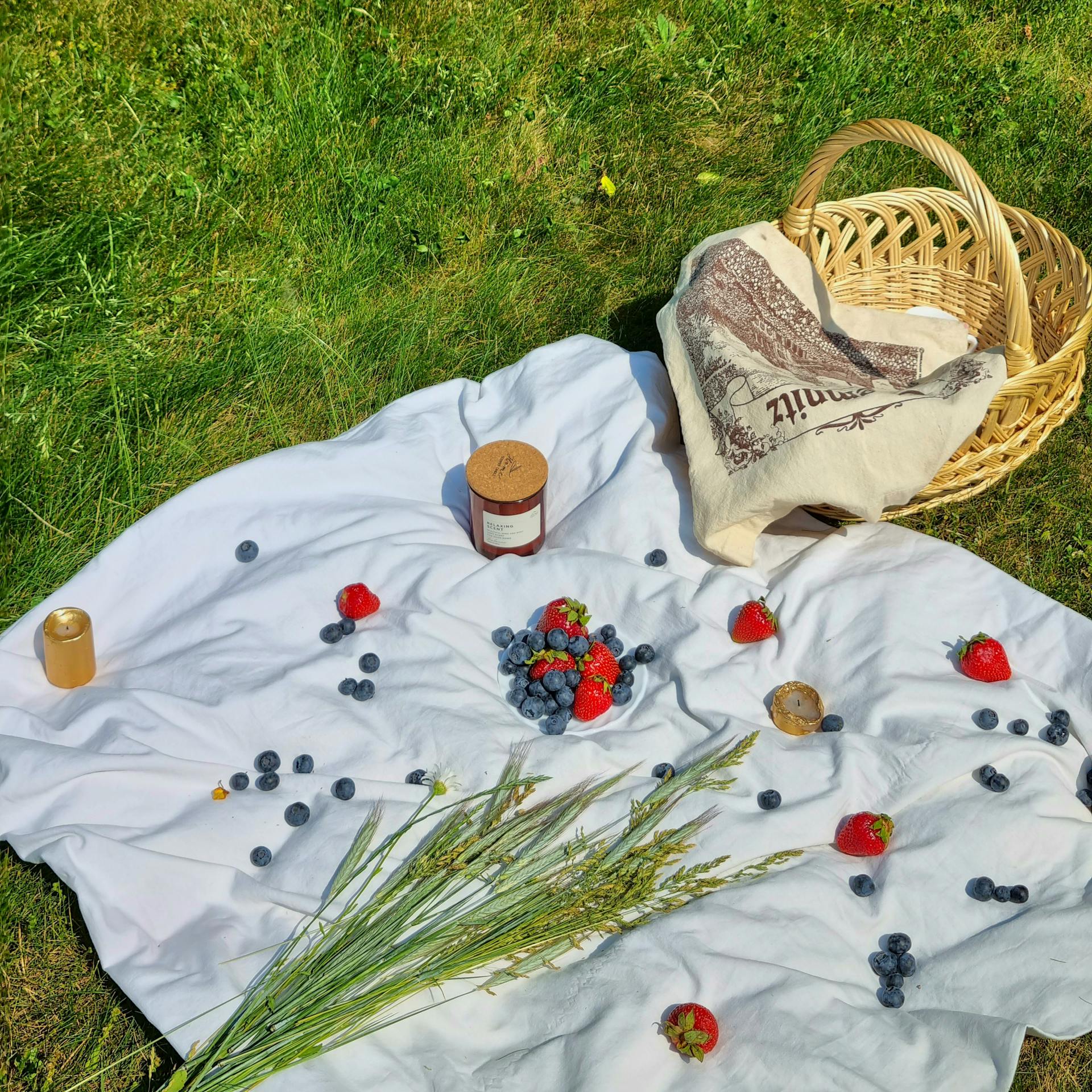 Un panier de pique-nique dans un parc | Source : Pexels