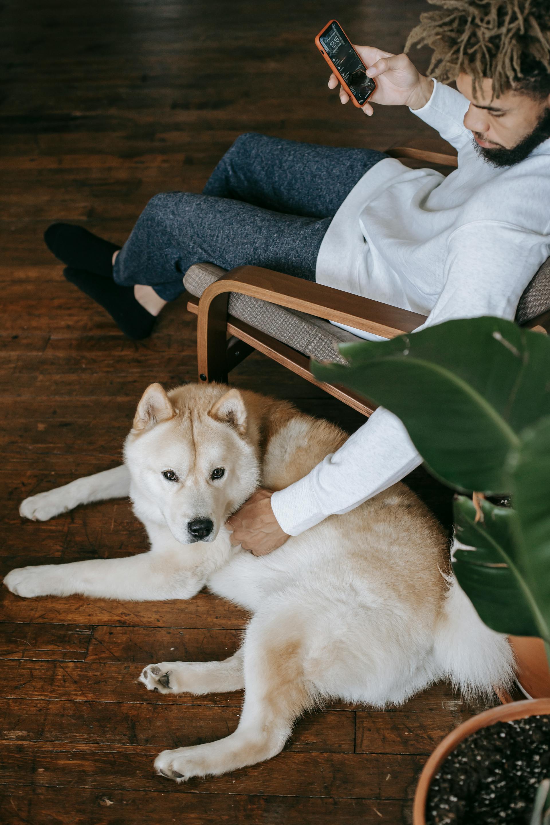 Un homme tenant un téléphone et caressant un chien | Source : Pexels