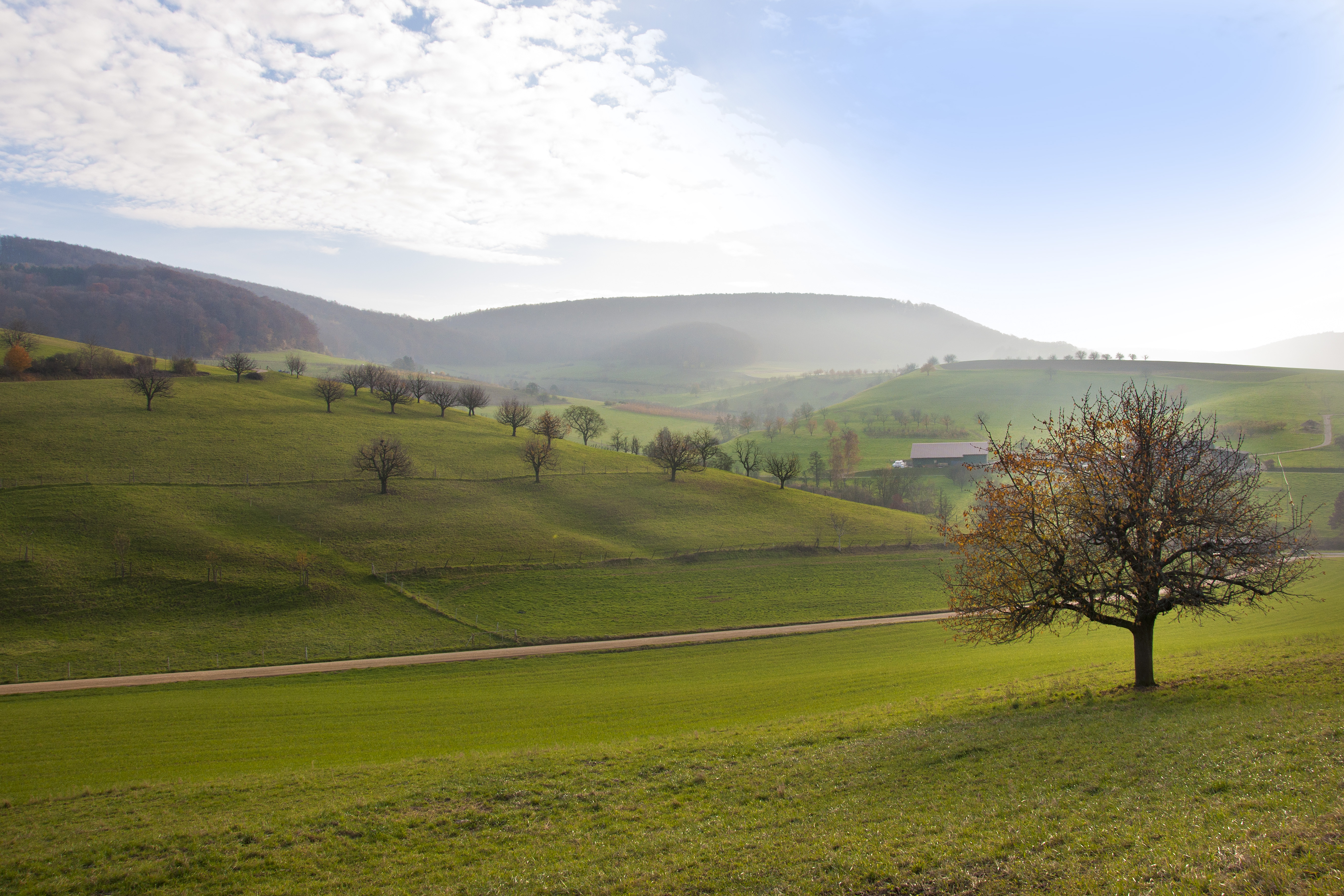 Canton de Bâle-Campagne I Photo d'illustration | Source : GettyImages
