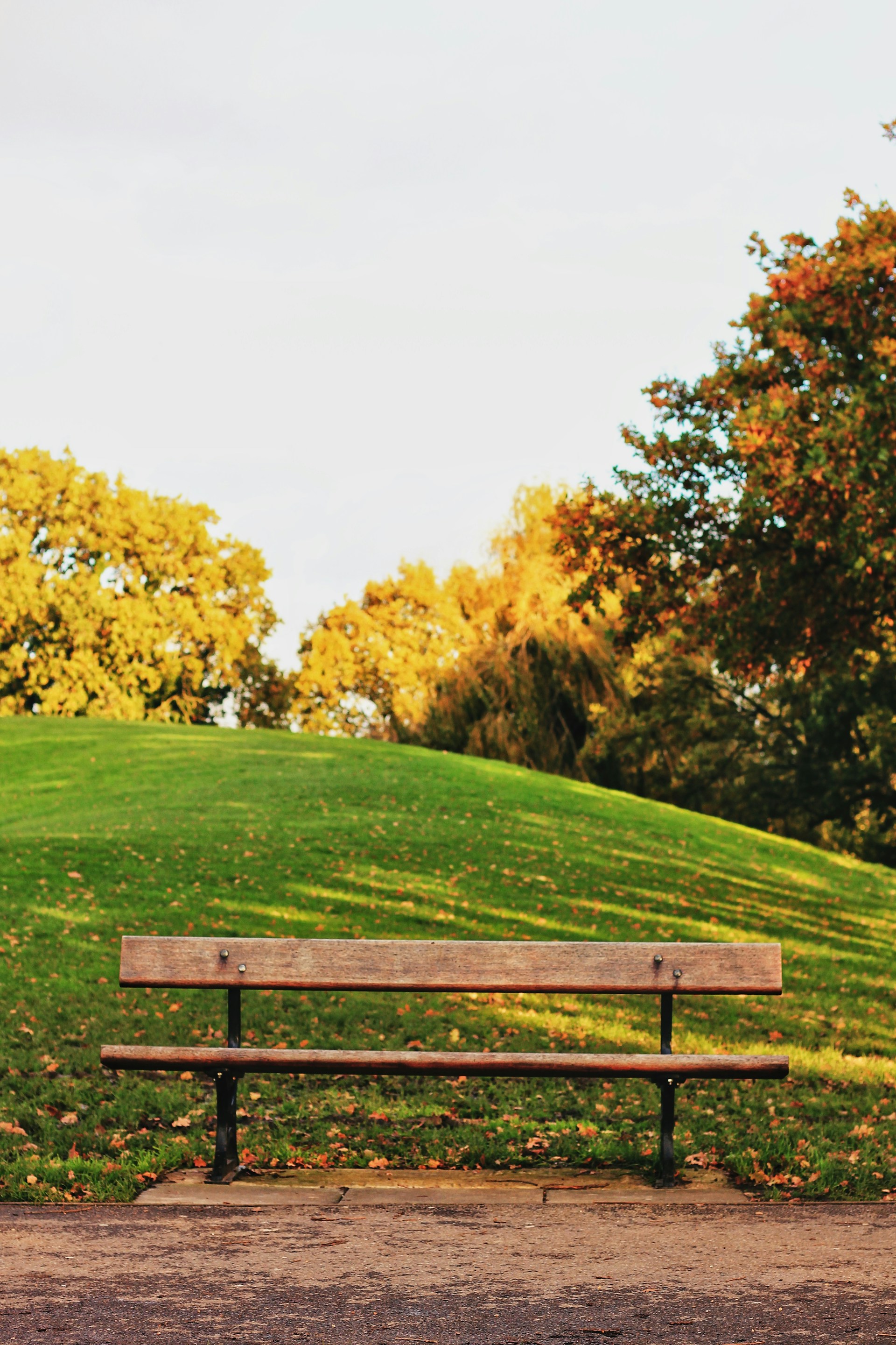 Un parc avec un banc en bois | Source : Unsplash