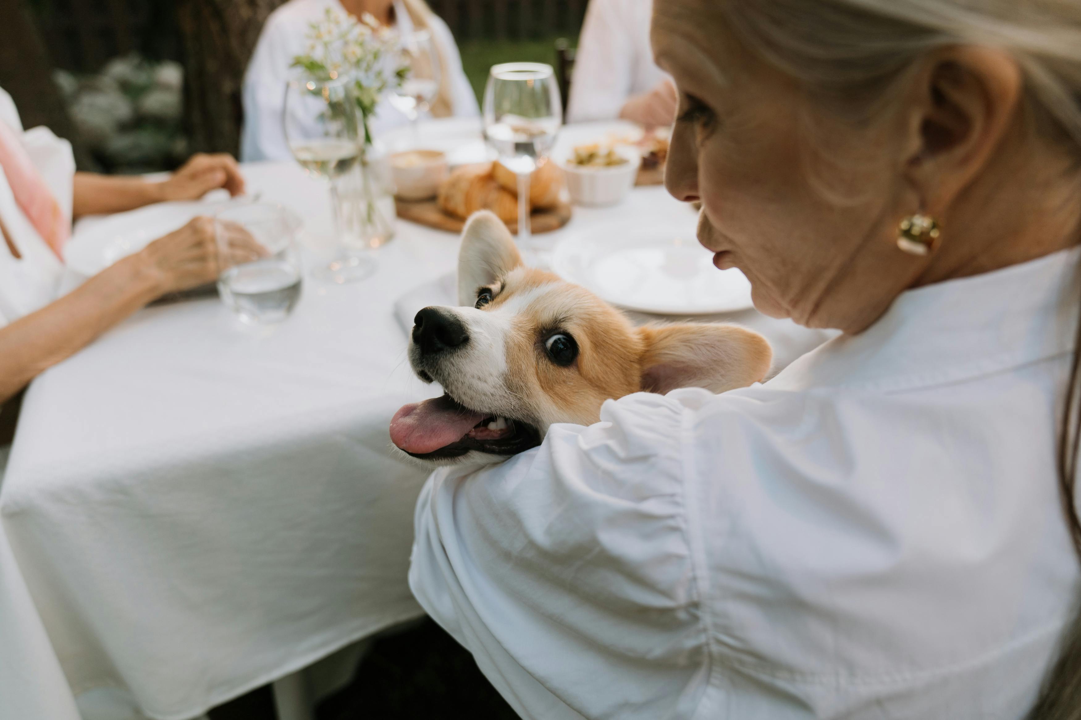Une femme tenant un chien de compagnie | Source : Pexels