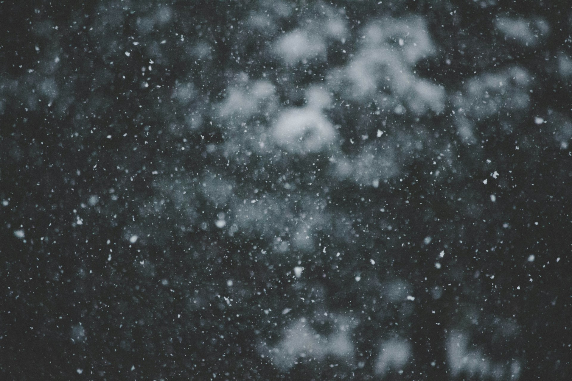 Chute de neige | Source : Unsplash