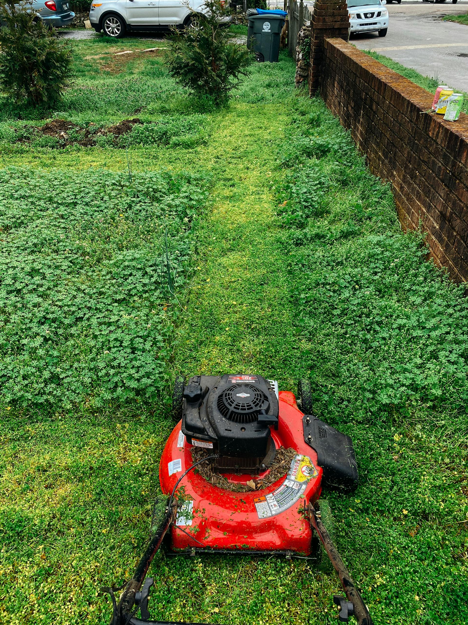 Une tondeuse à gazon rouge sur l'herbe | Source : Pexels
