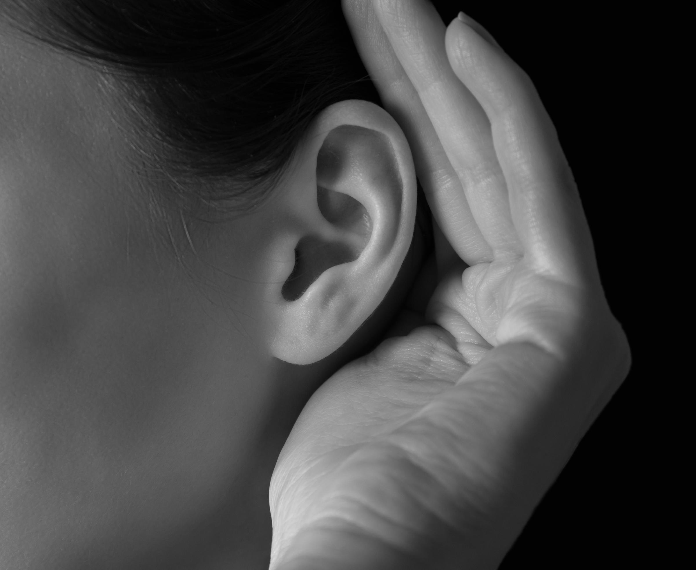 À des fins d'illustration uniquement. | Source : Shutterstock