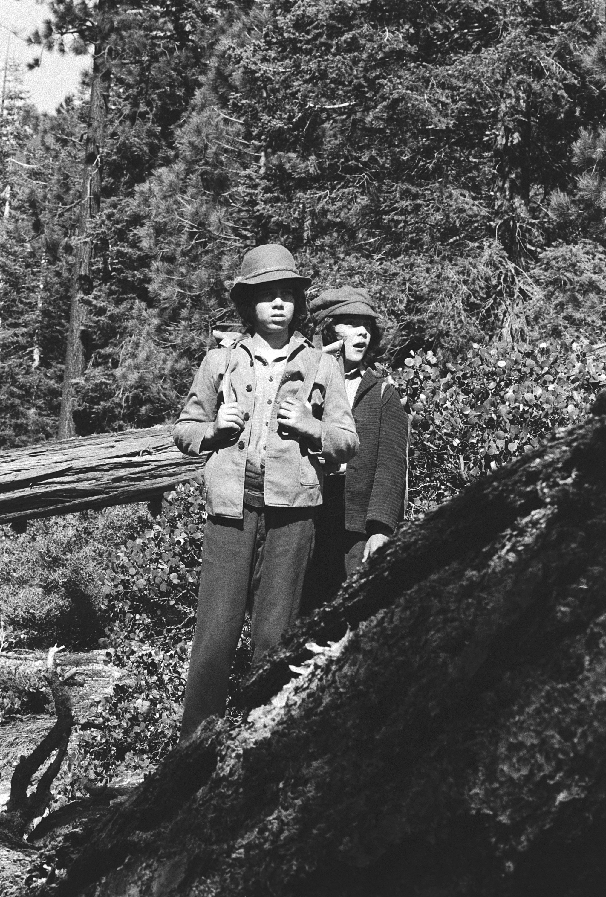Patrick Labyorteaux dans le rôle d'Andrew « Andy » Garvey et Matthew Laborteaux dans celui d'Albert Quinn Ingalls, photographiés lors d'un épisode de « La Petite maison dans la prairie » en 1978 | Source : Getty Images