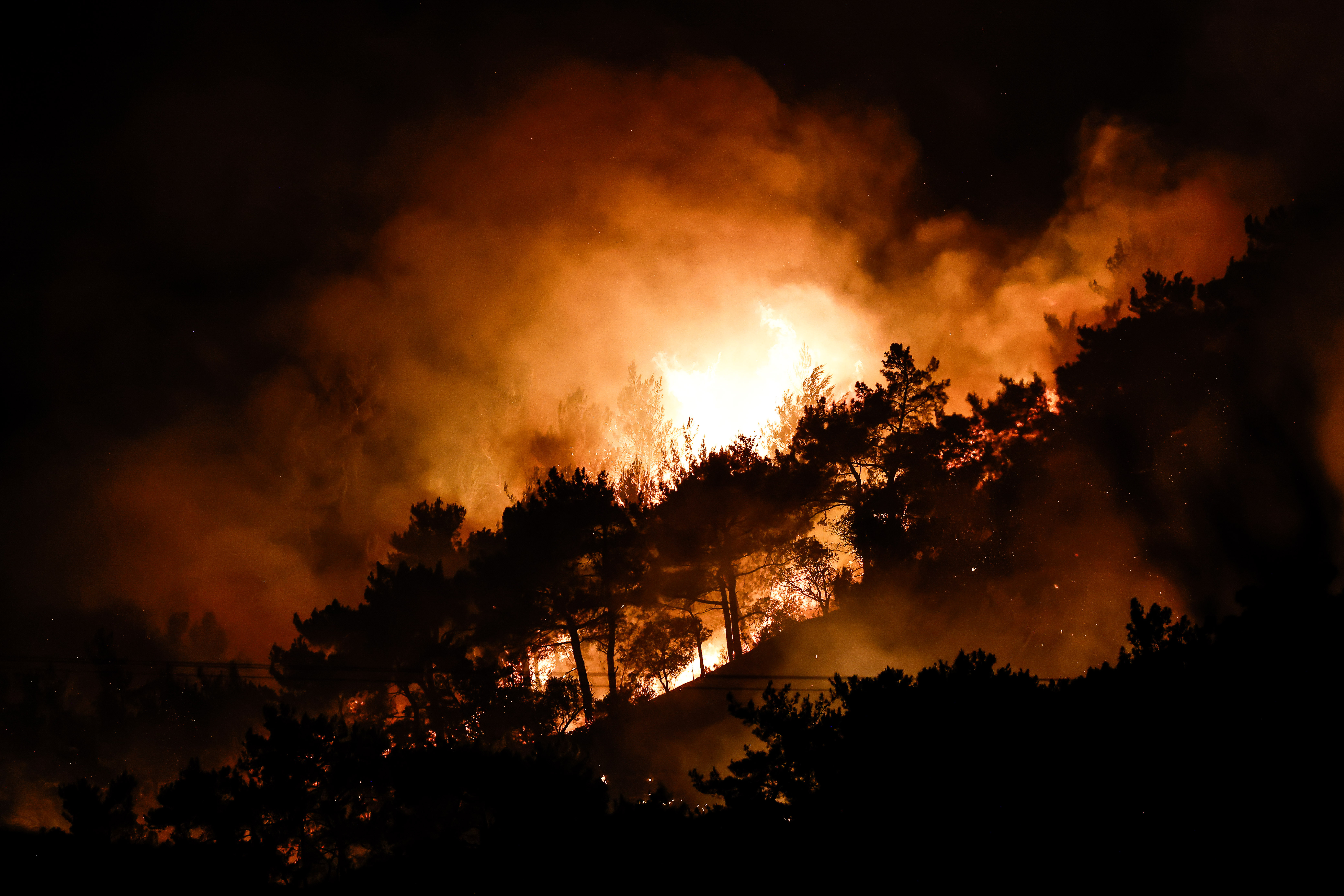 De la fumée s'élève alors que les pompiers interviennent sur l'incendie qui s'est déclaré à Chios, en Grèce, le 22 juin 2025 I Source : Getty Images