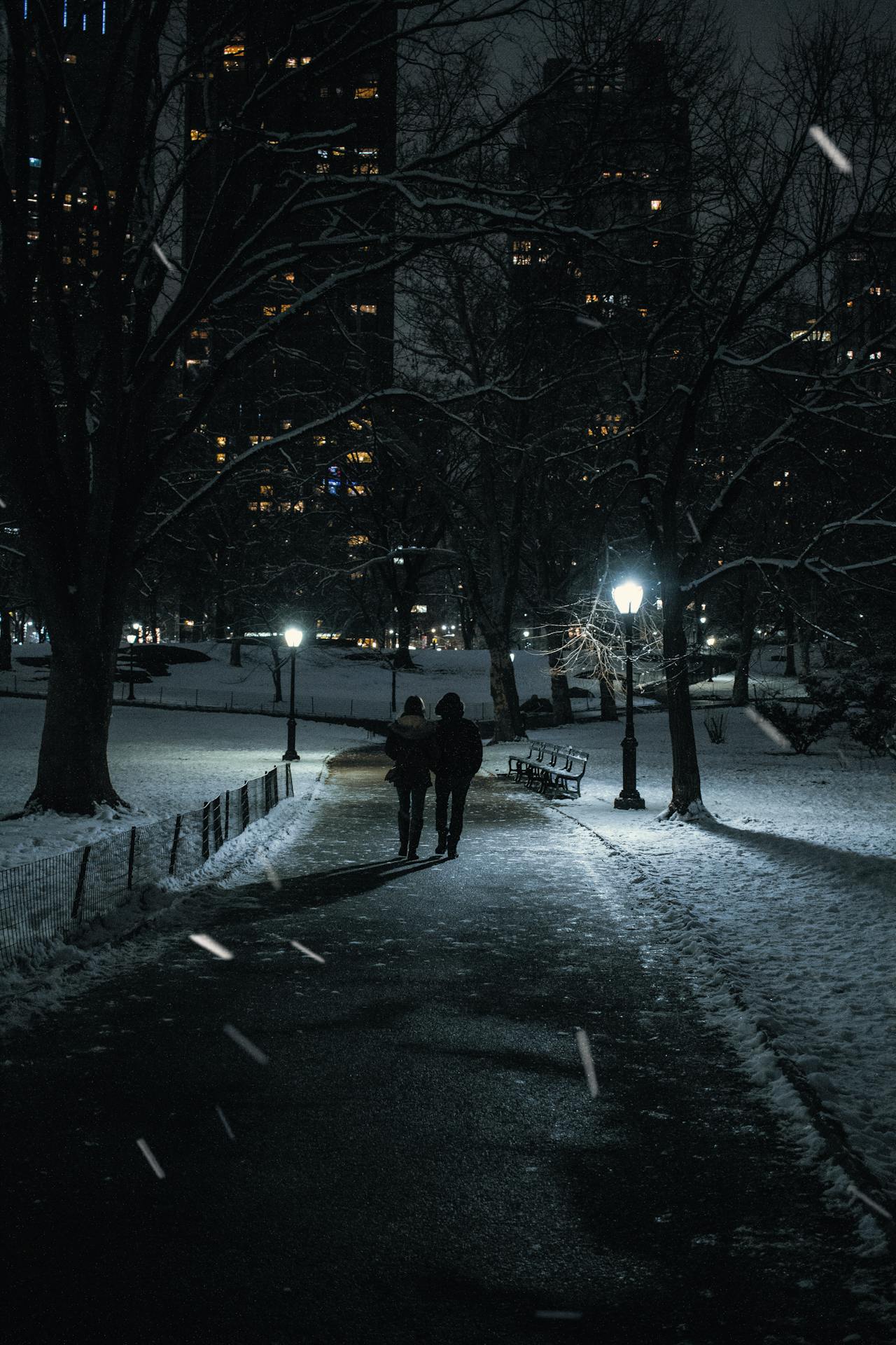 Un couple se promenant la nuit | Source : Pexels