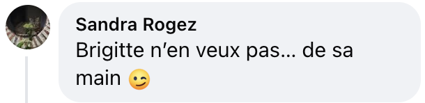 Commentaire d'un internaute sur le geste de Brigitte Macron envers son époux, le président Emmanuel Macron. | Source : Facebook/Madame Figaro