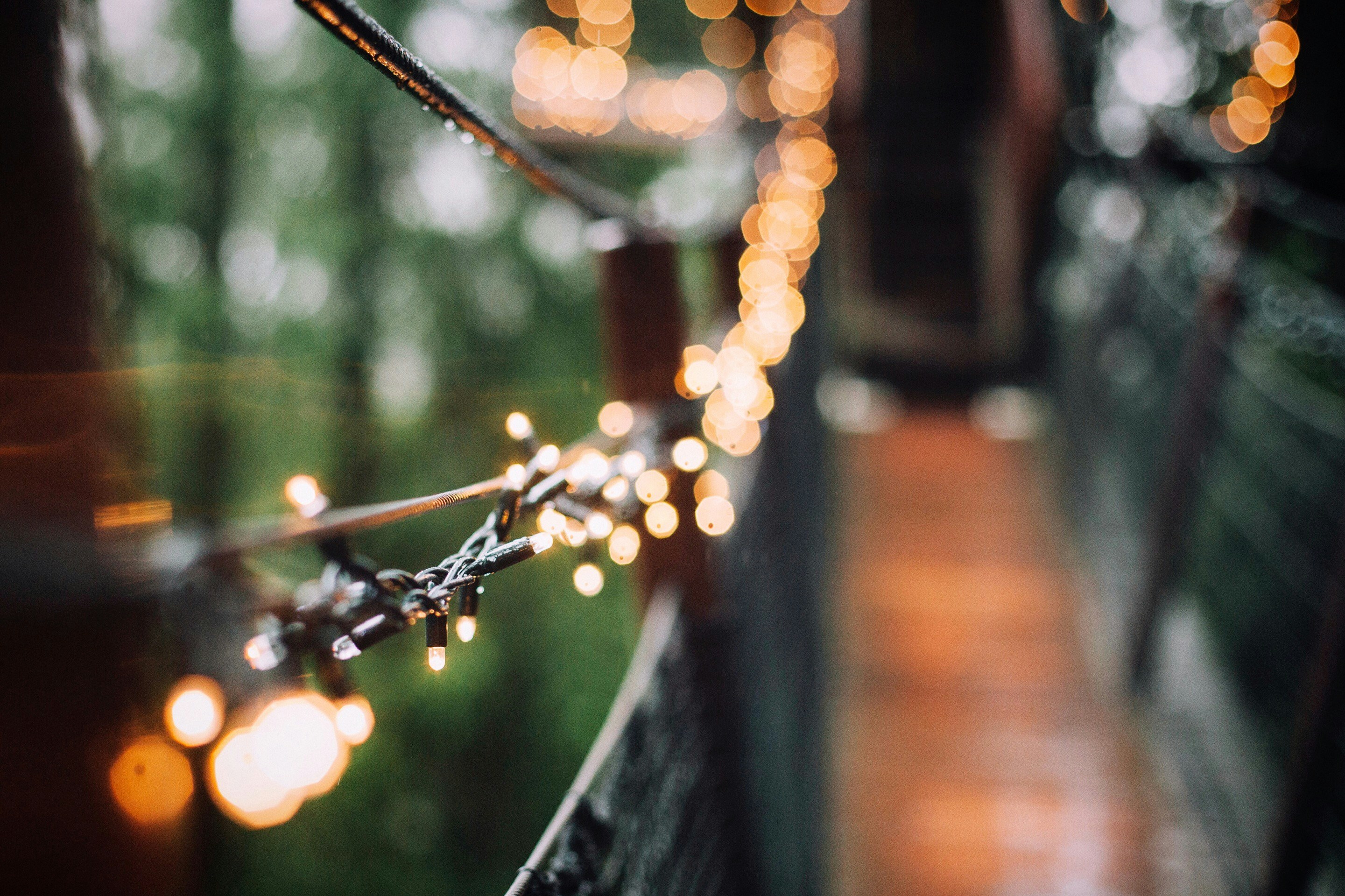 Une vue floue de guirlandes lumineuses | Source : Unsplash