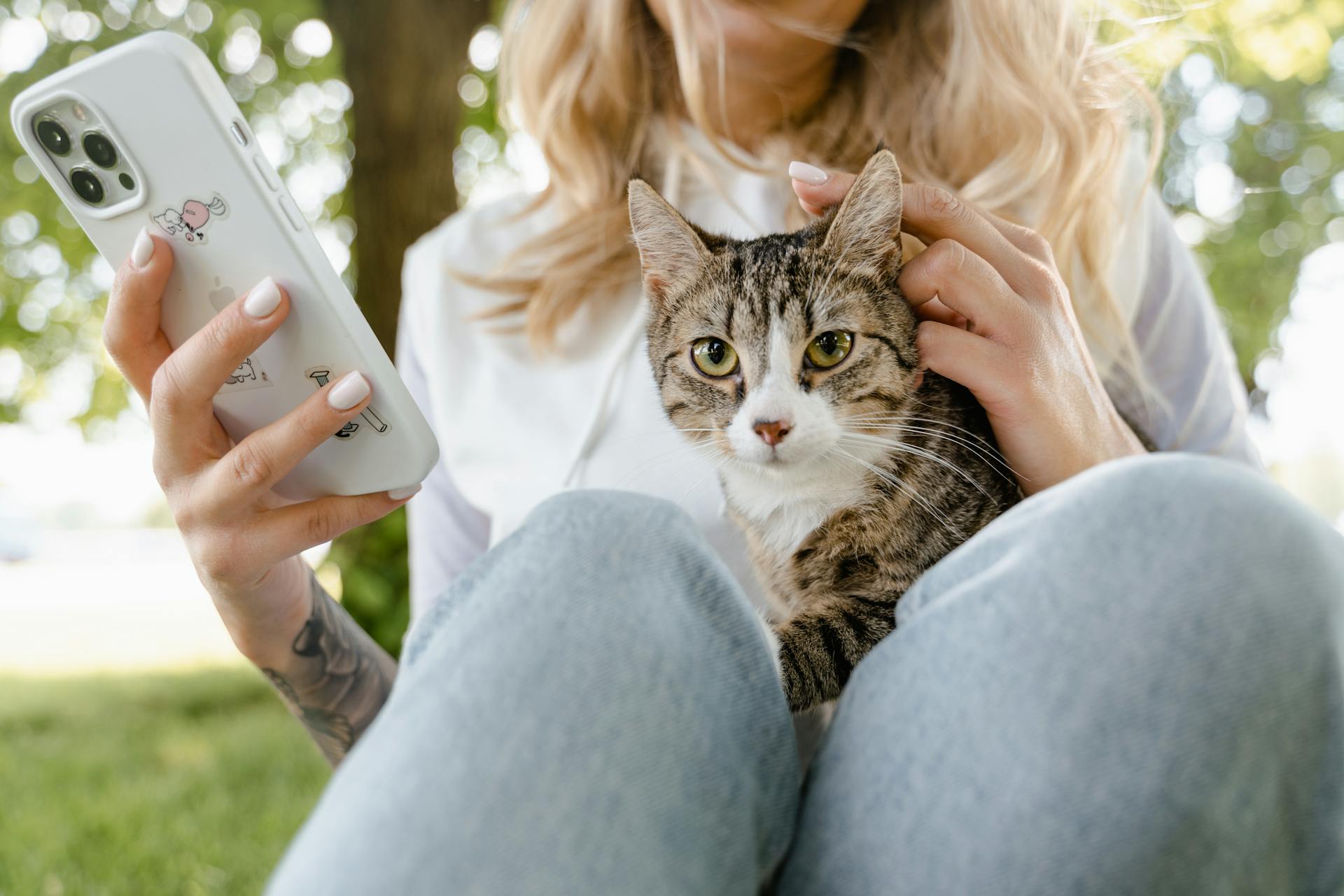 Gros plan sur une femme qui utilise son smartphone tout en tenant son chat | Source : Pexels