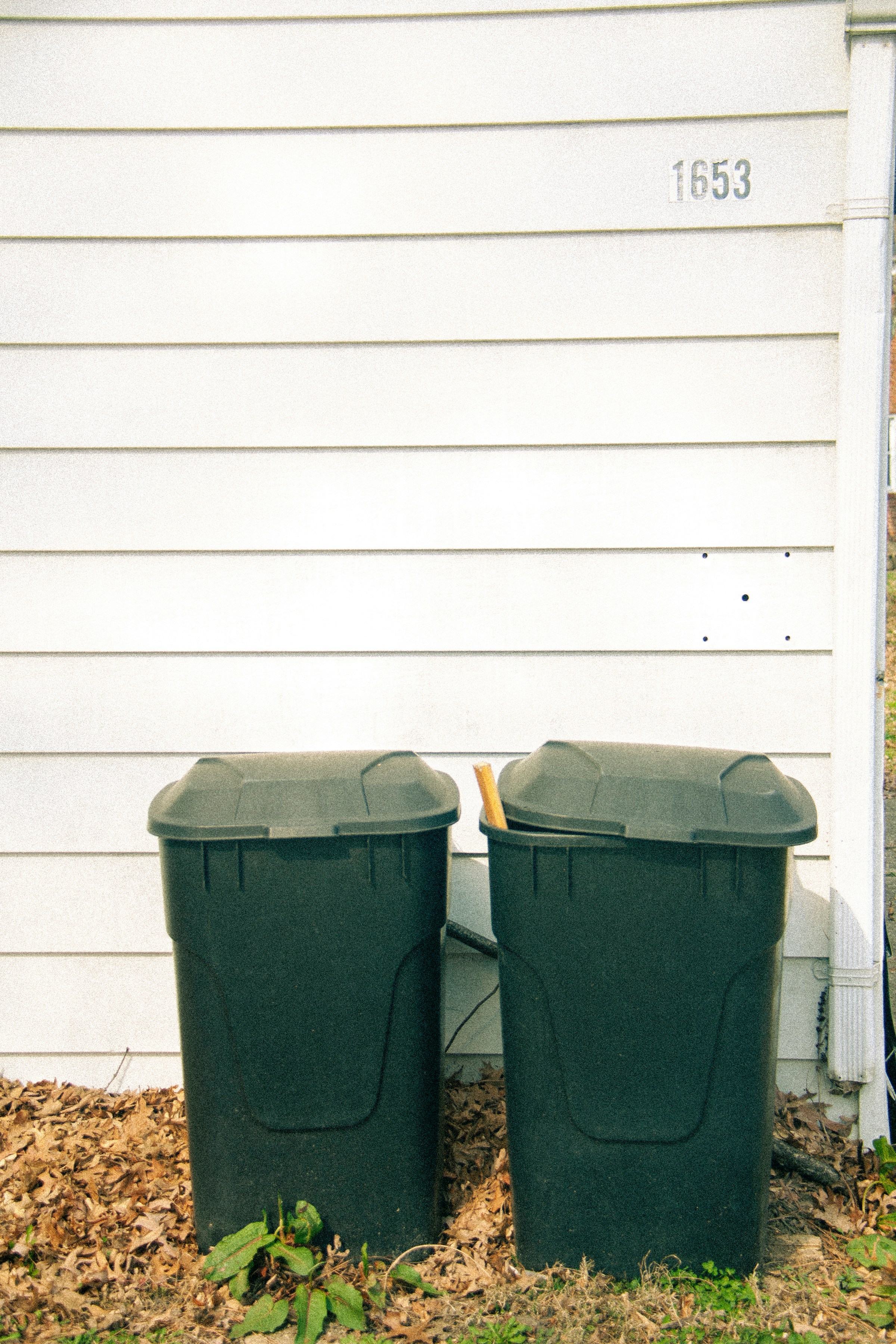 Poubelles à côté d'une maison | Source : Unsplash