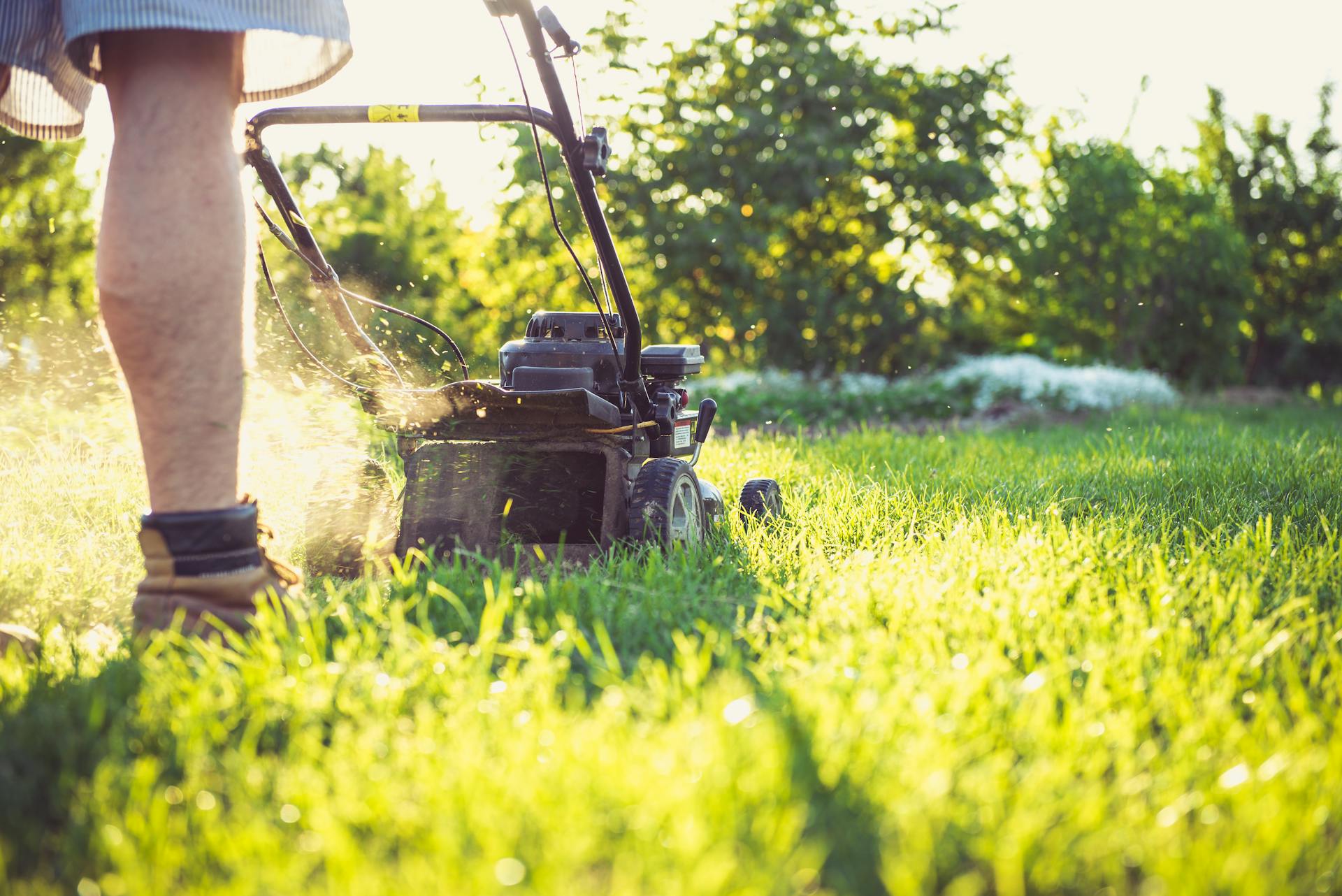 Un gros plan d'un homme en train de tondre la pelouse | Source : Pexels