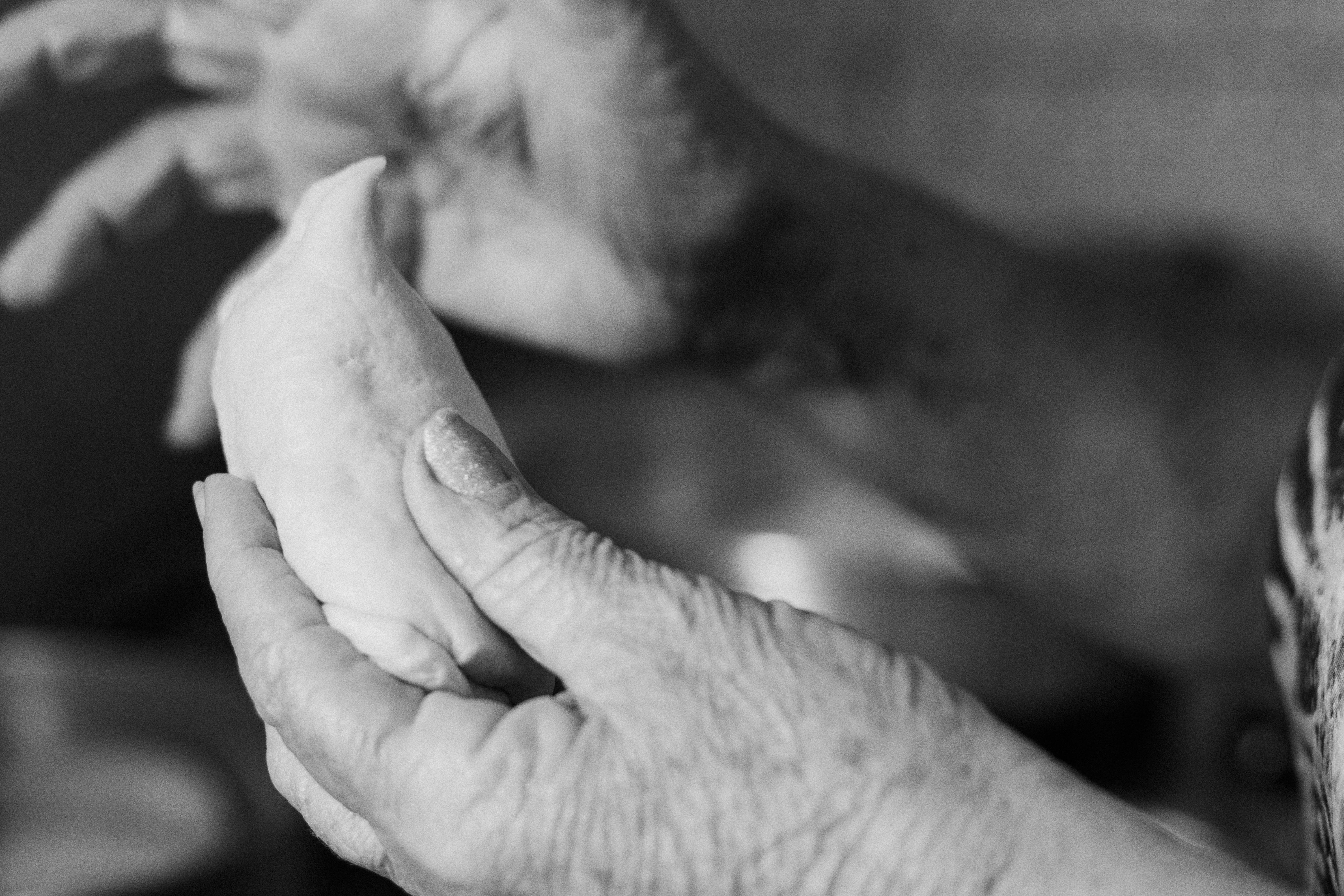 Une personne tenant de la pâte à pain | Source : Pexels