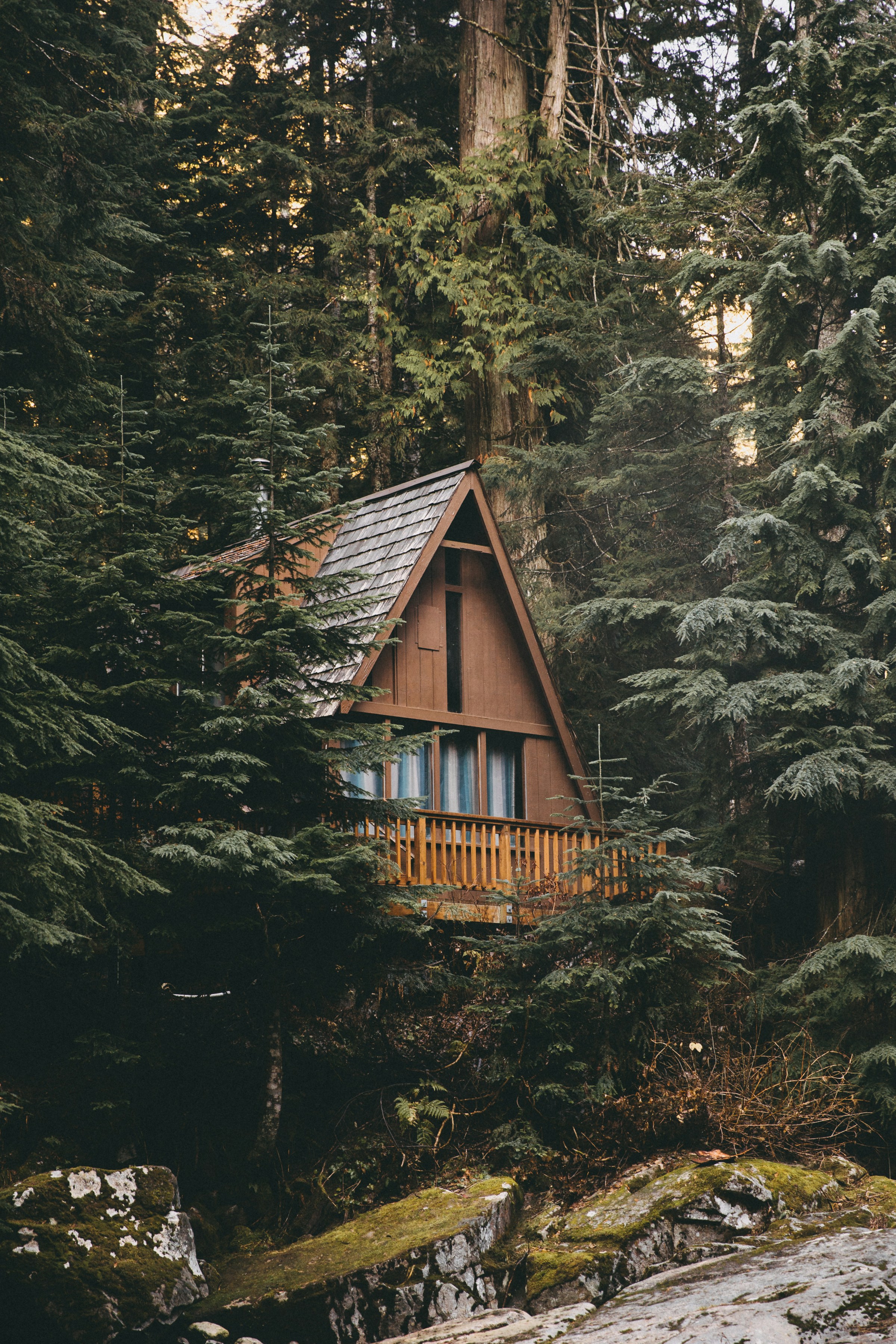 Une cabane dans les bois | Source : Unsplash