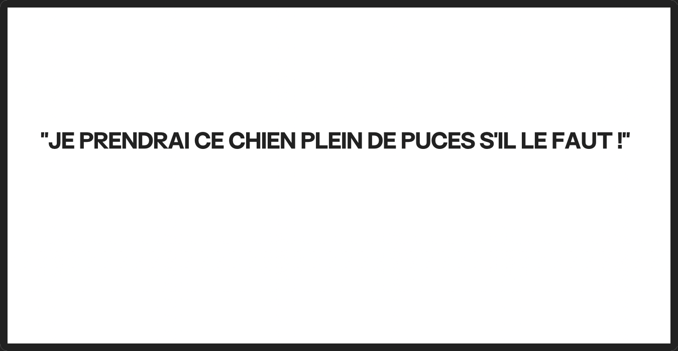 À titre d'illustration uniquement | Source : Ozdomedia