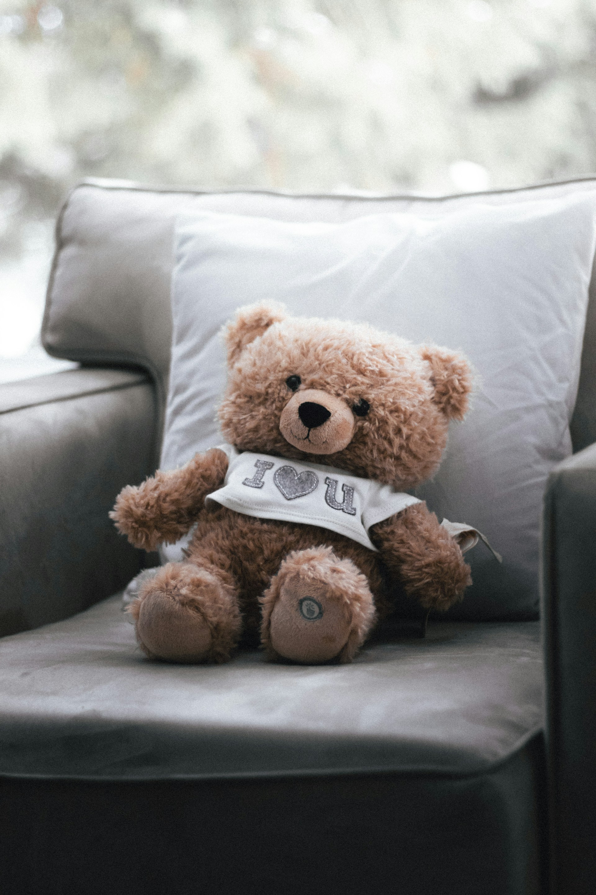 Un adorable ours en peluche sur le canapé | Source : Unsplash