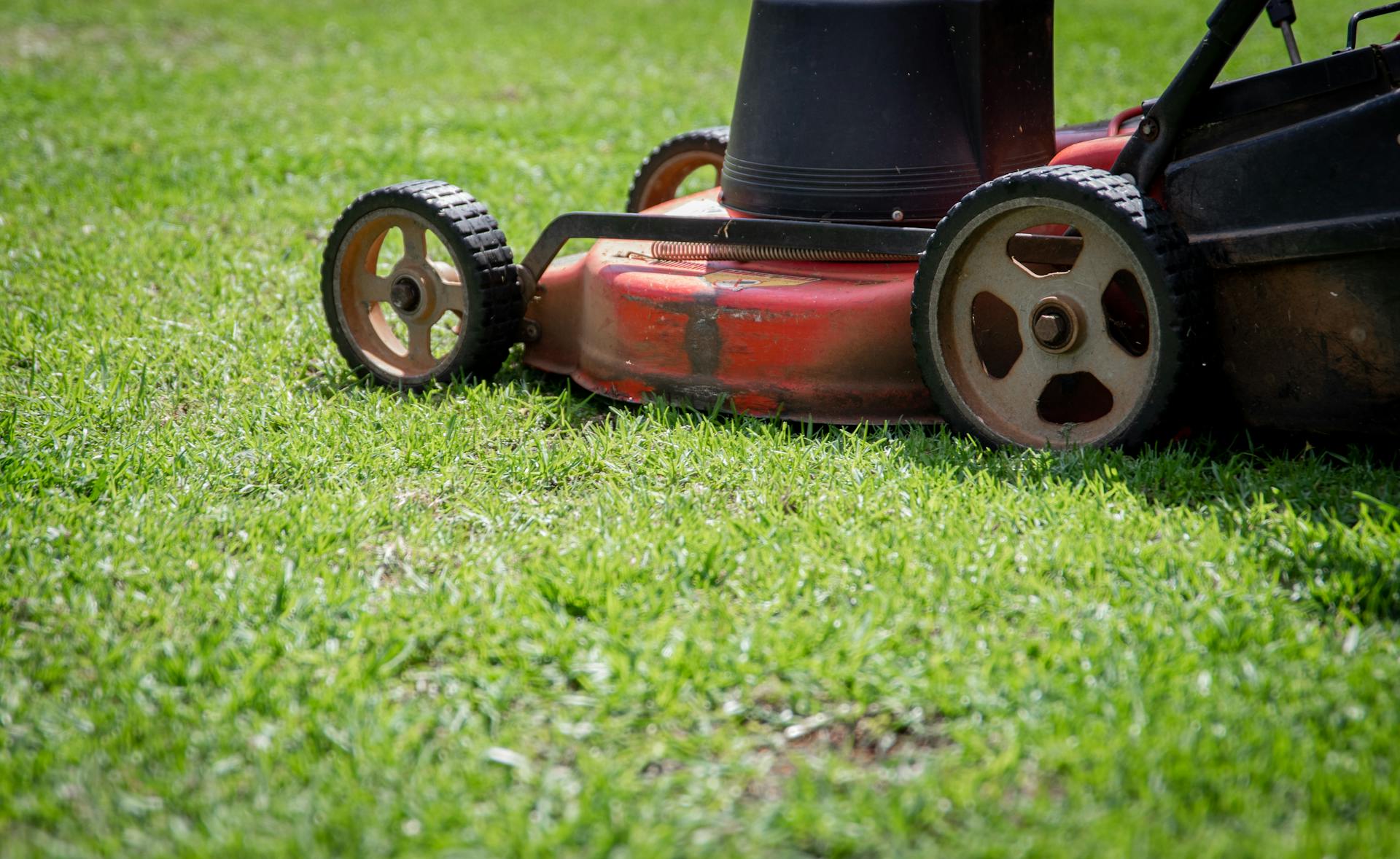 Une tondeuse à gazon | Source : Pexels