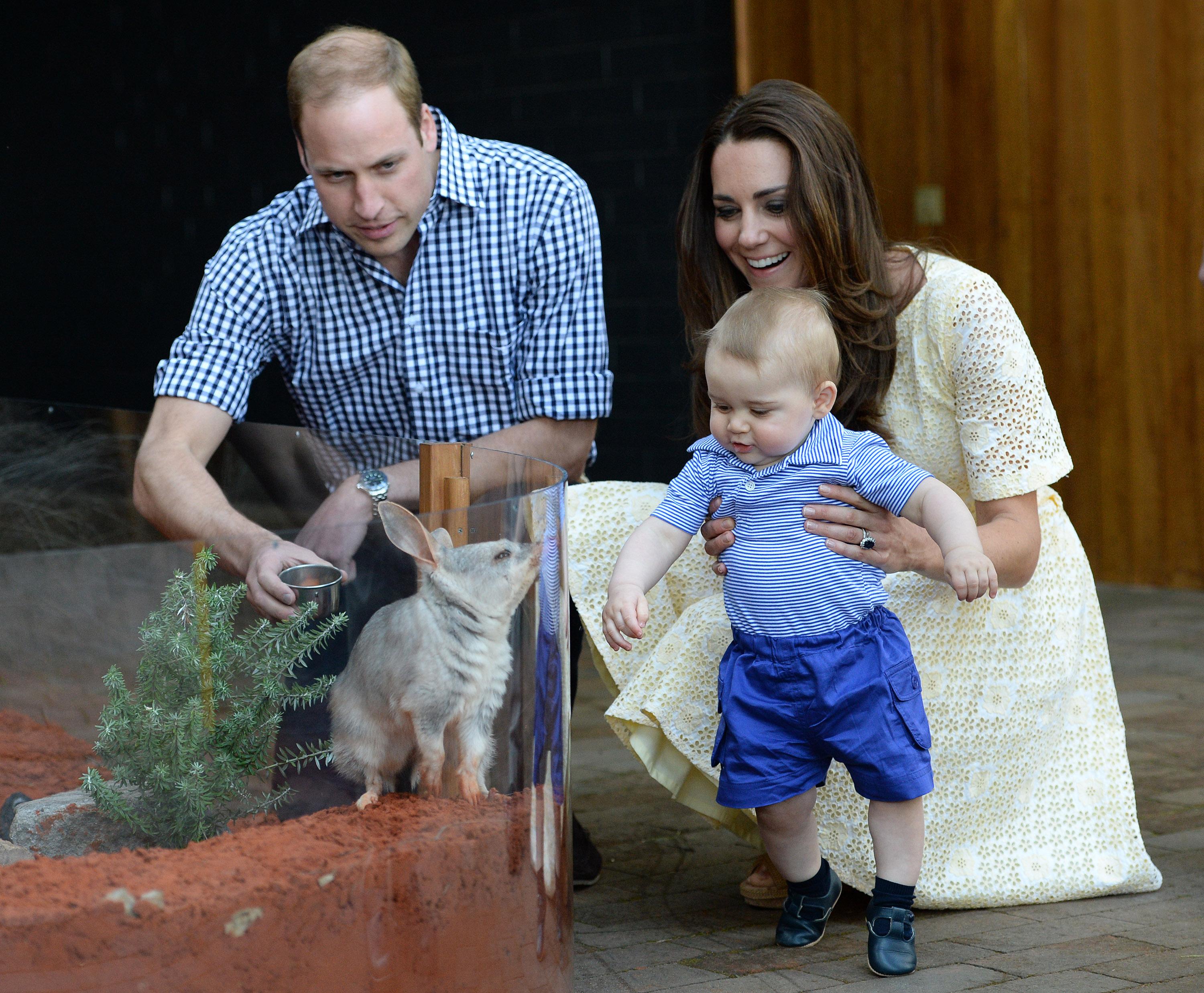 Moins d'un an plus tard, George a accompagné William et Catherine lors de leur premier voyage officiel à l'étranger avec leur fils, avec notamment une visite au zoo de Taronga à Sydney le 20 avril. La rencontre du petit prince avec un bilby prénommé George a été l'un des premiers moments publics d'une enfance de plus en plus médiatisée aux côtés de ses parents.